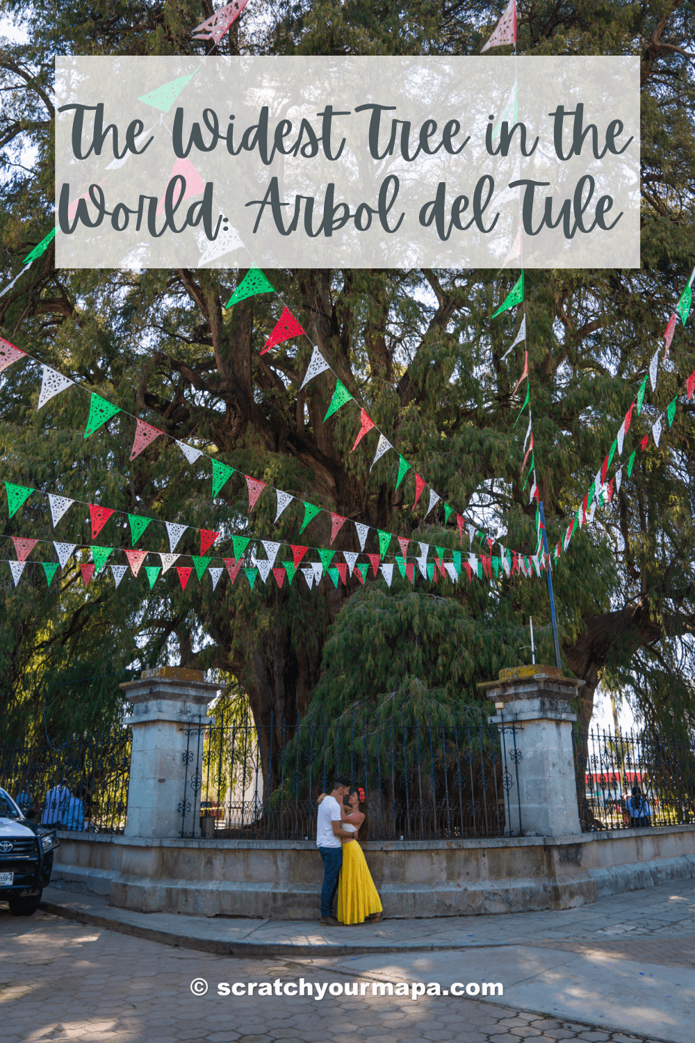 Visiting el Arbol del Tule, Oaxaca pin