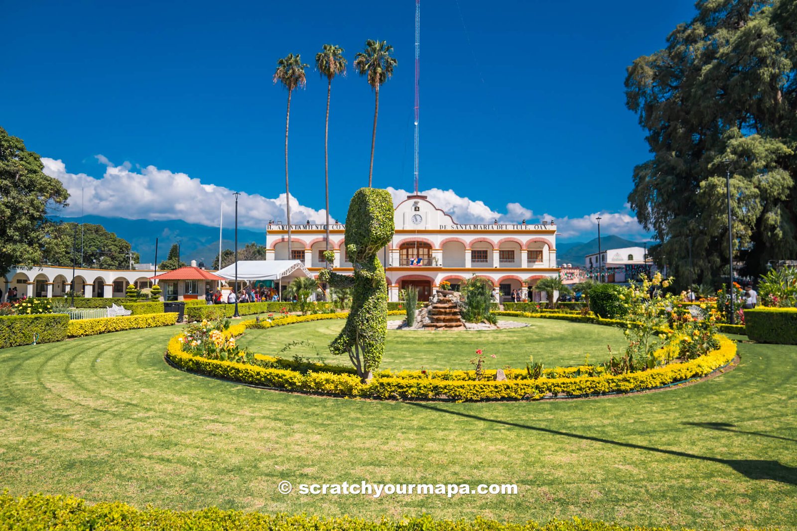 Visiting Arbol del Tule, Oaxaca