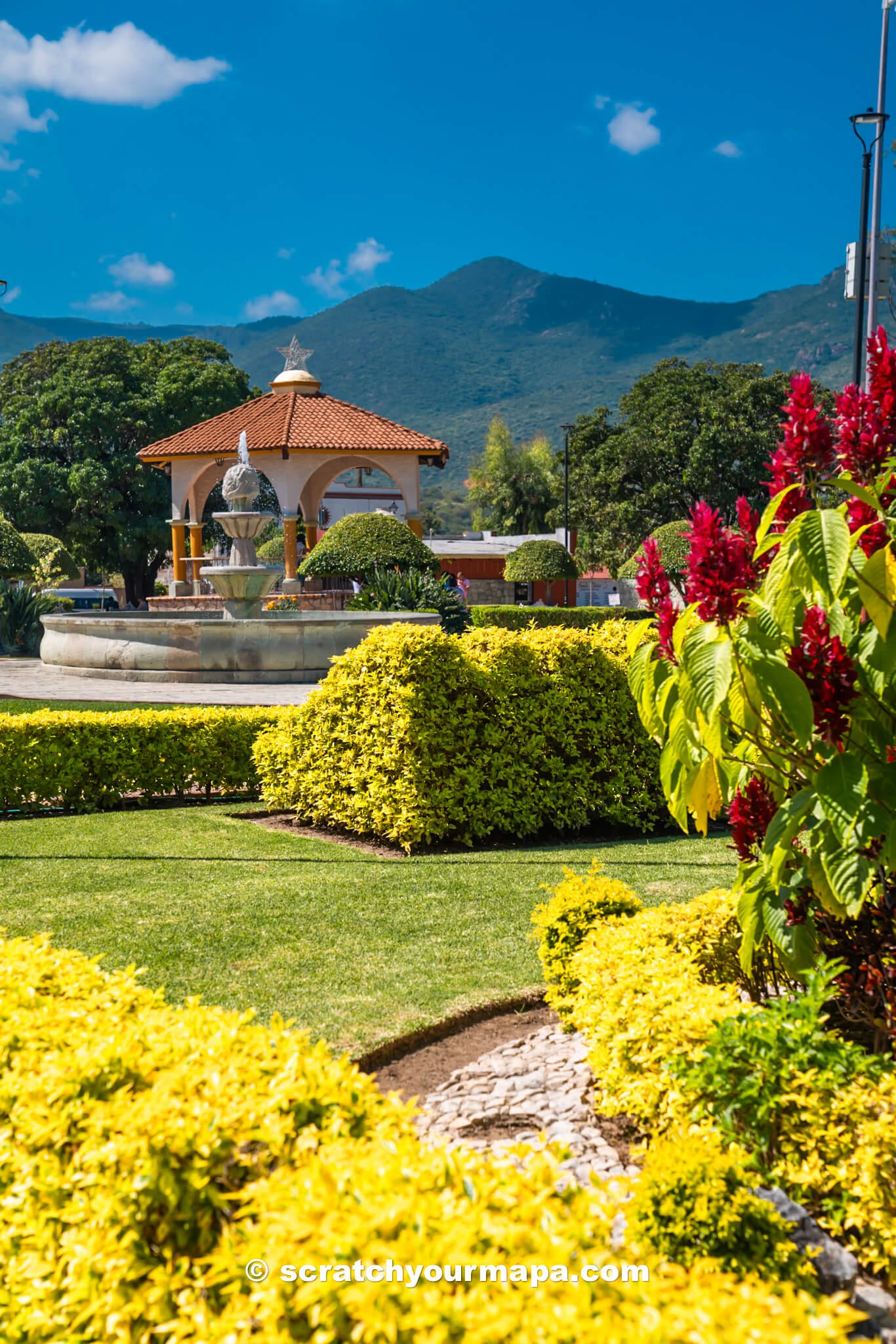 gardens of El Tule Tree