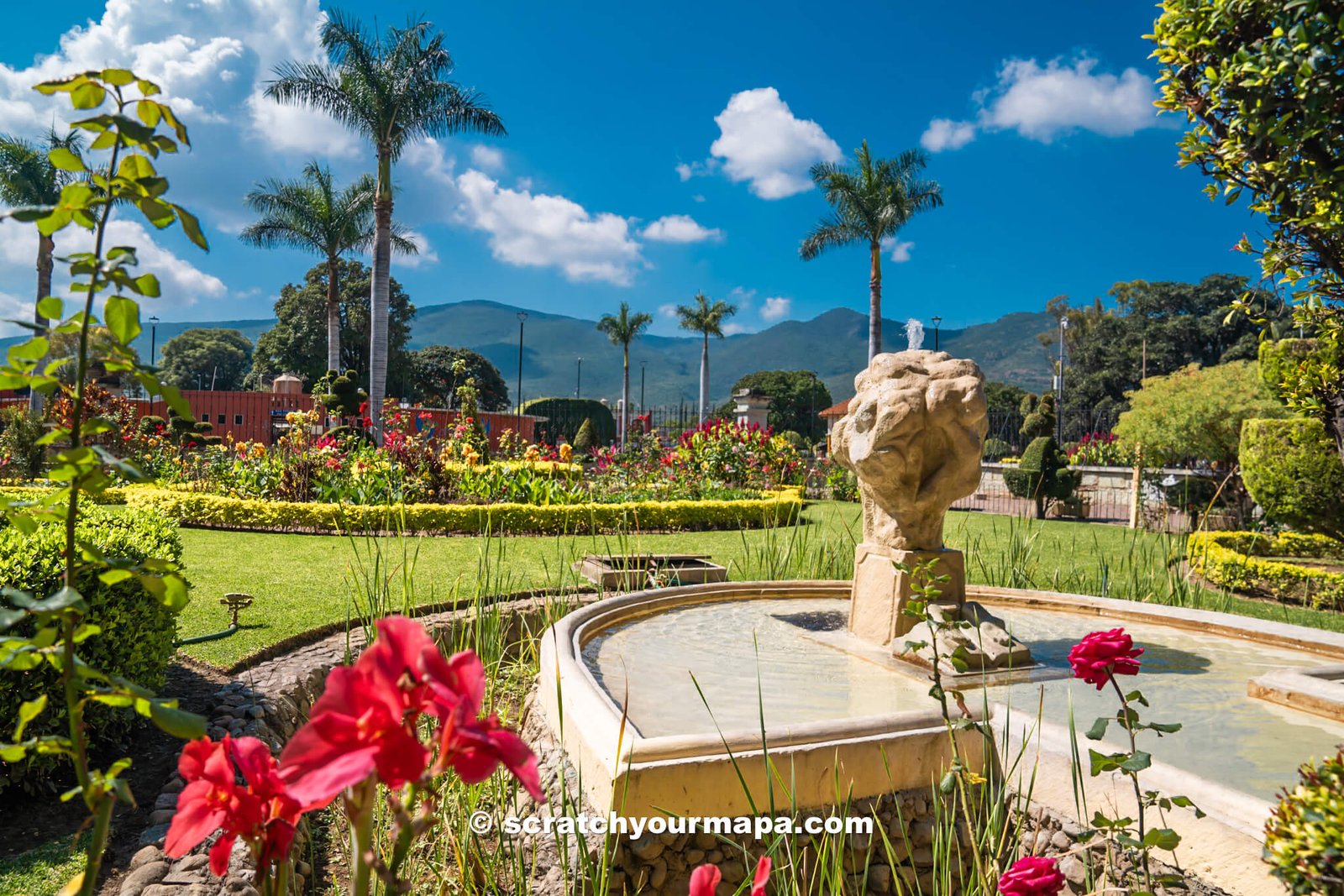 gardens of El Tule Tree