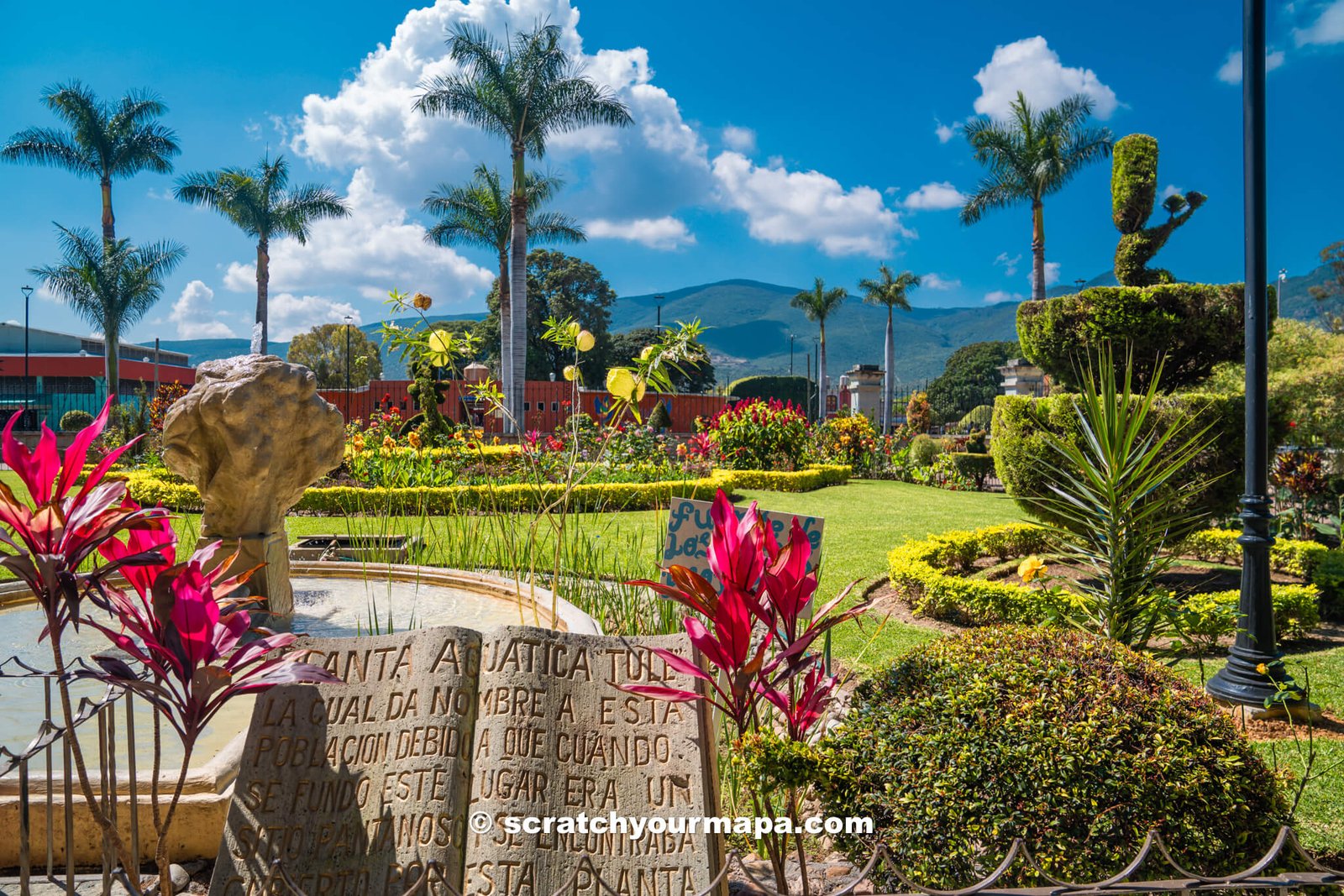 gardens of El Tule Tree