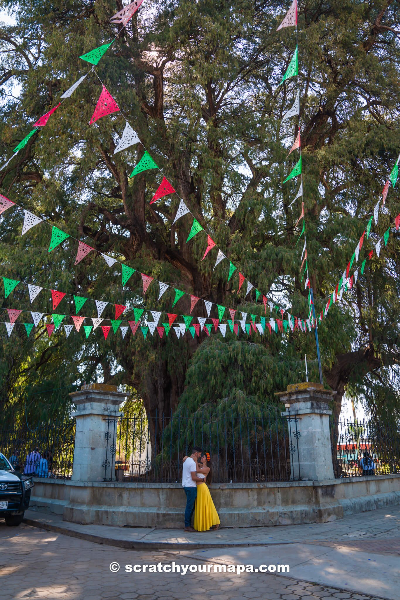 Visiting Arbol del Tule, Oaxaca