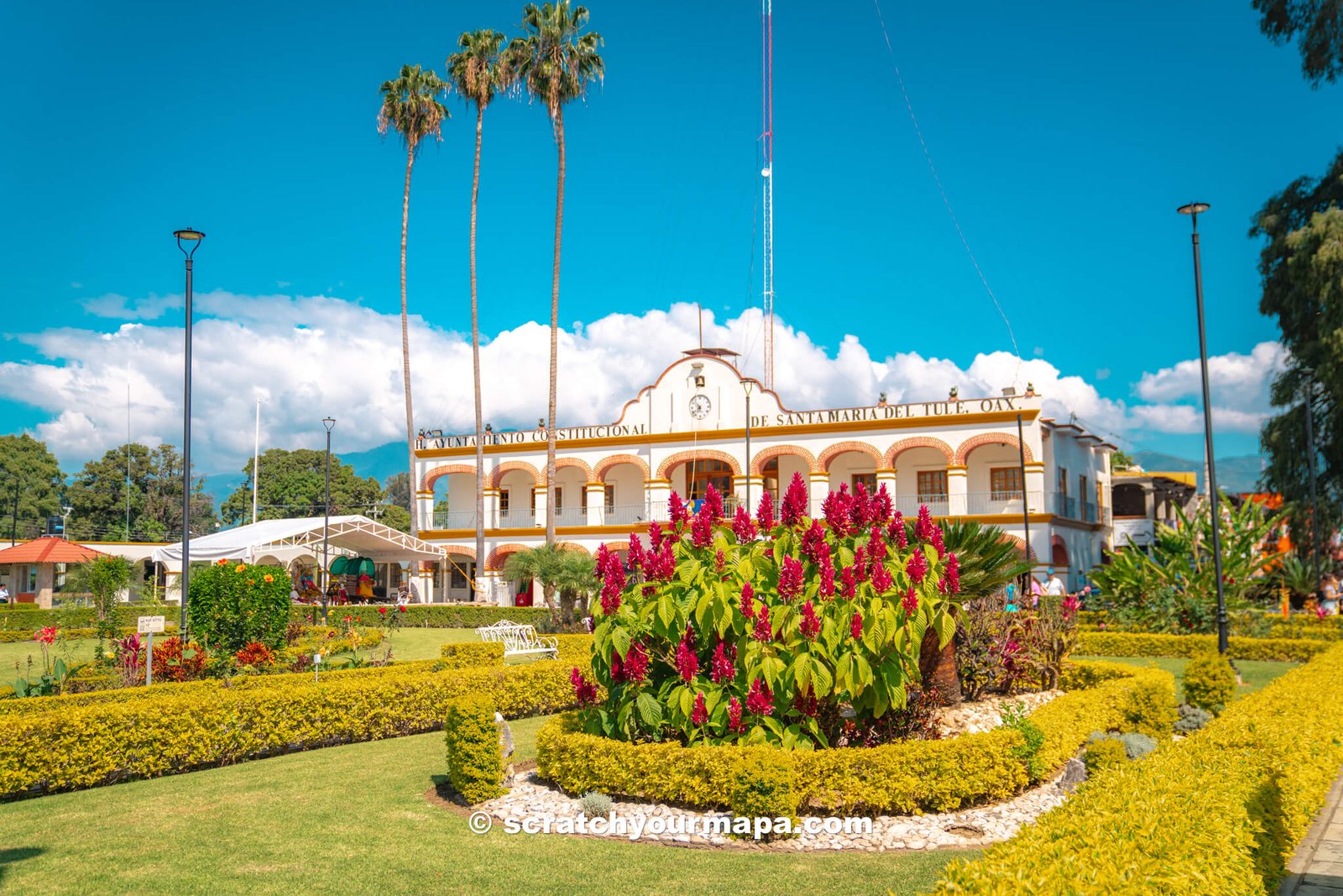 Main plaza of Santa Maria del Tule