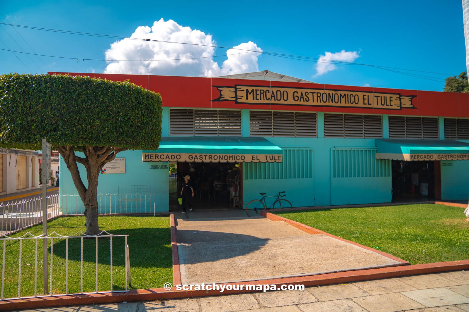 Mercado Gastronomico - visiting el arbol del tule, Oaxaca