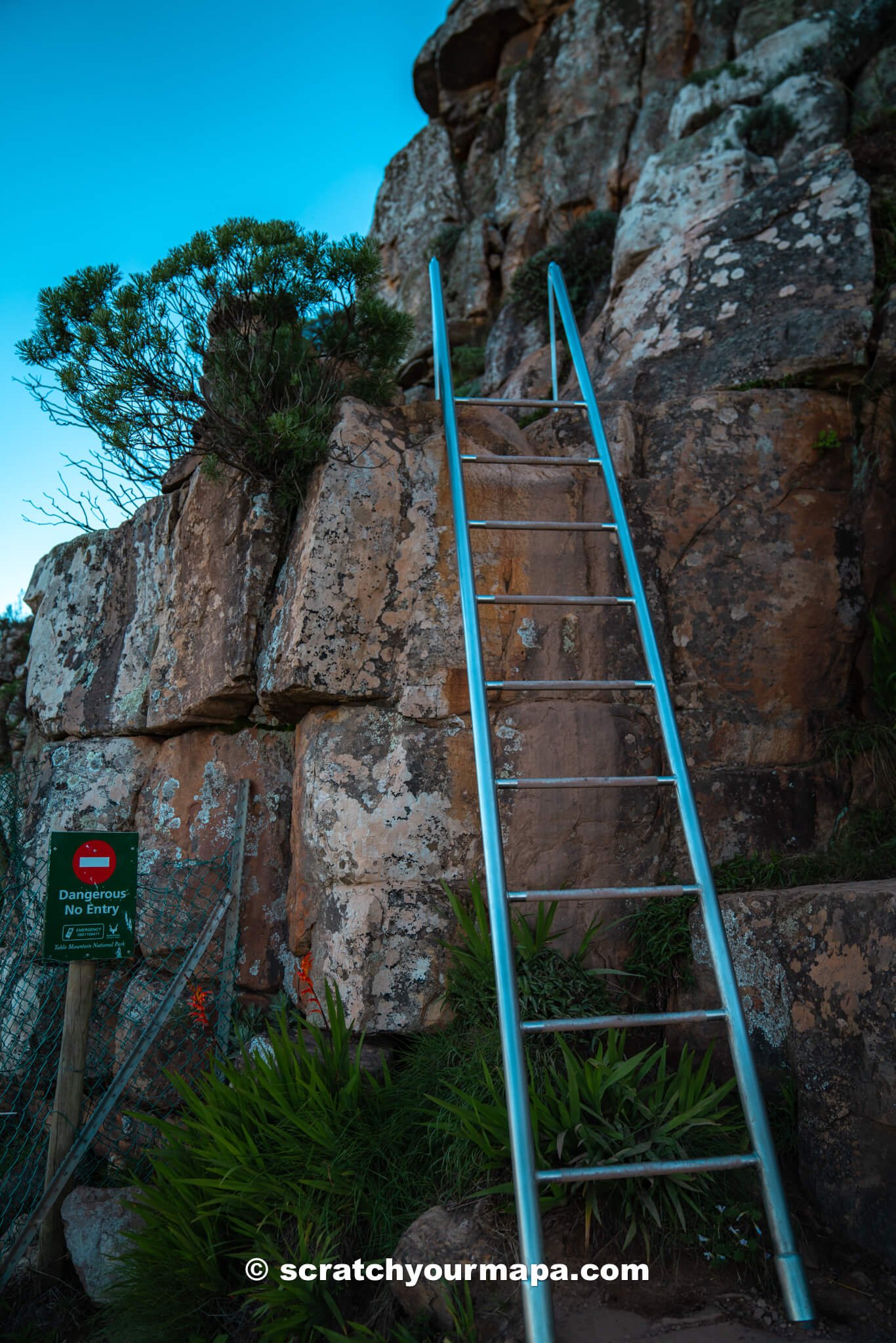 Lion's Head hike in Cape Town