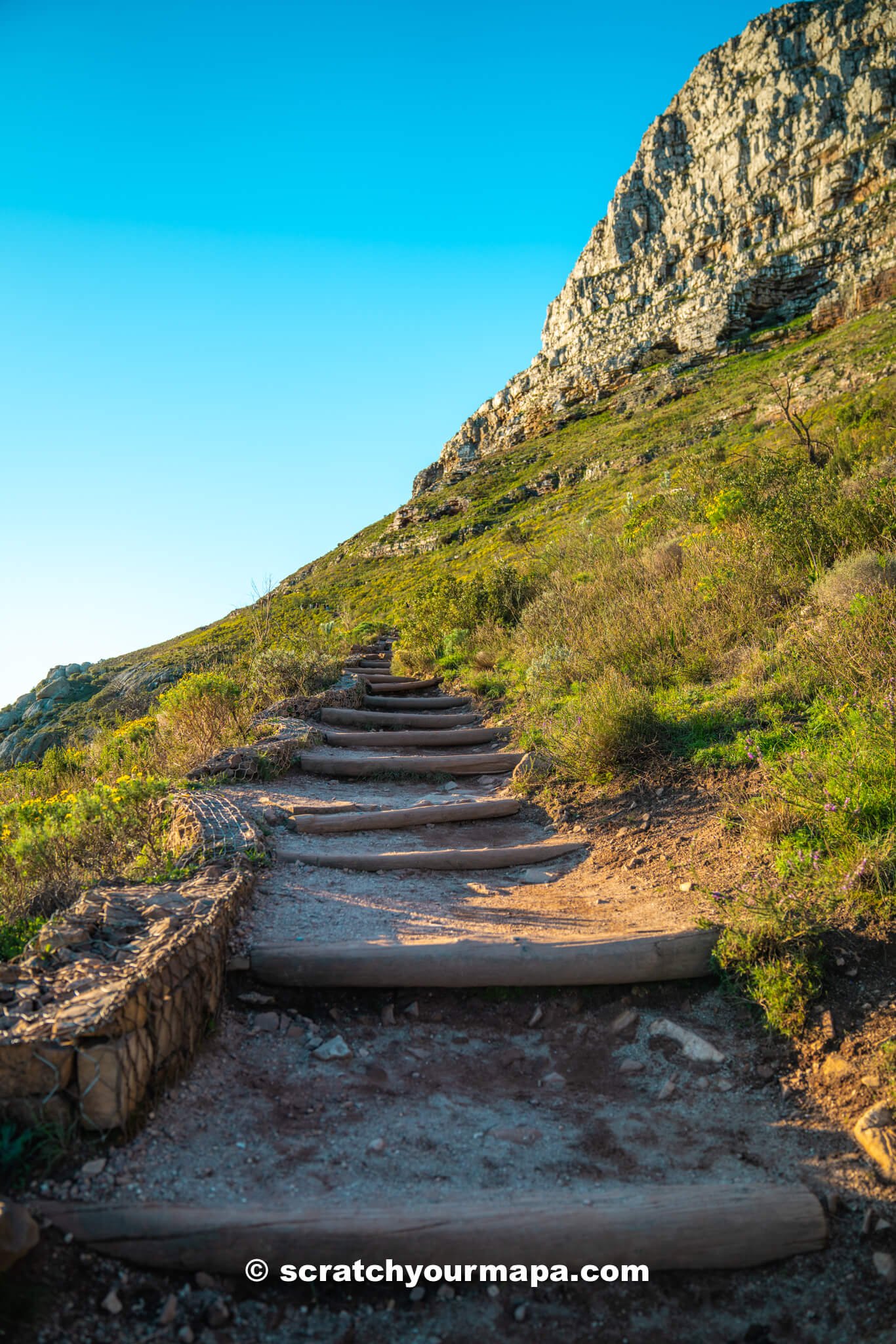 Lion's Head hike in Cape Town