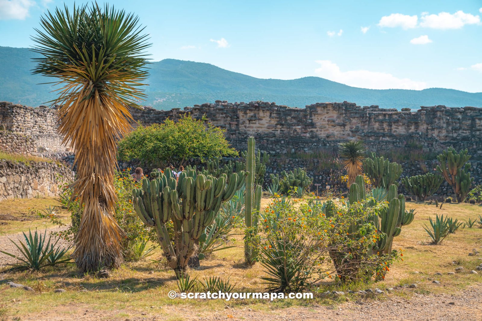 Mitla, Oaxaca travel guide