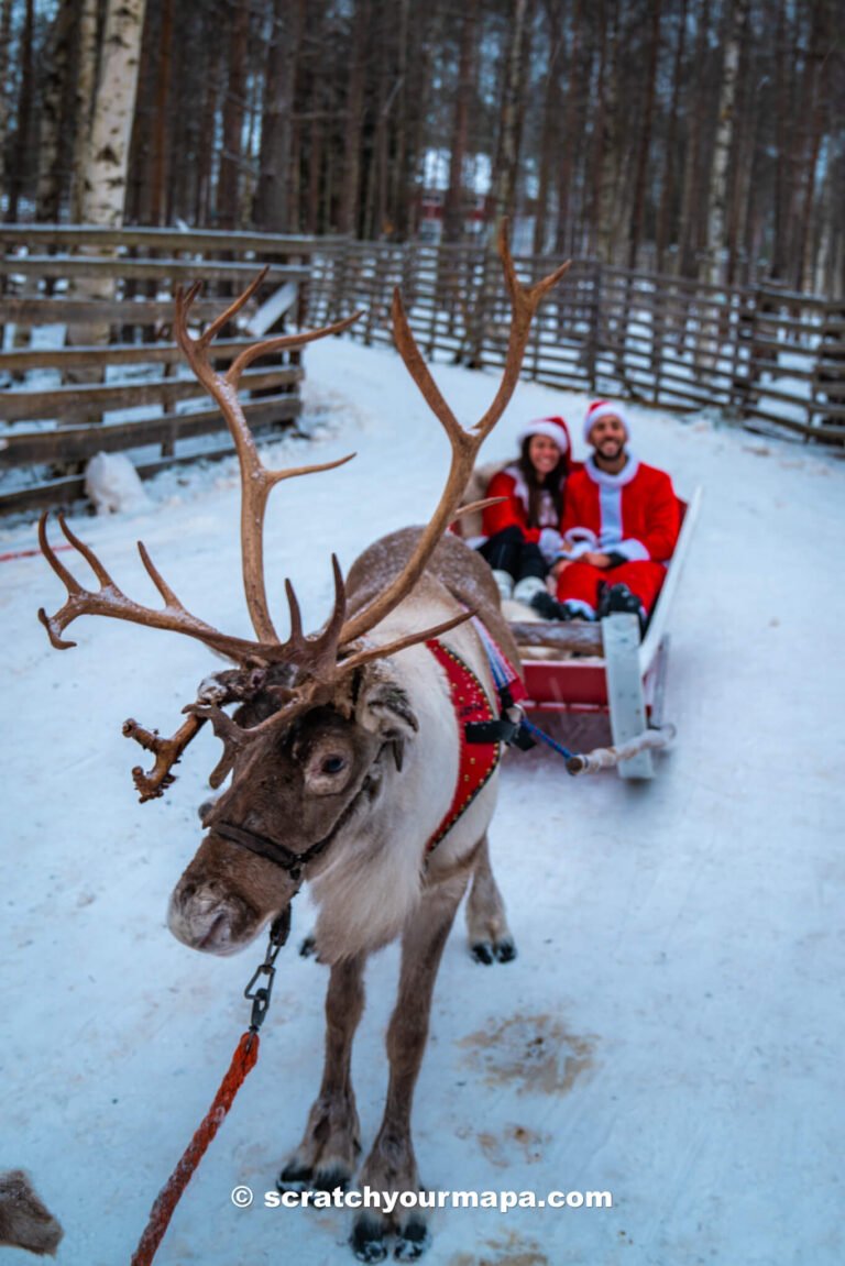 reindeer sleigh ride, things to do in Rovaniemi