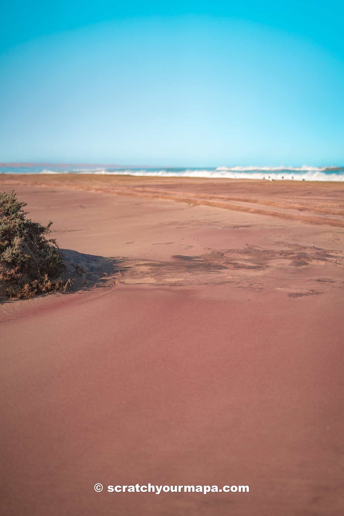 colorful sands of Sandwich Harbor, Namibia