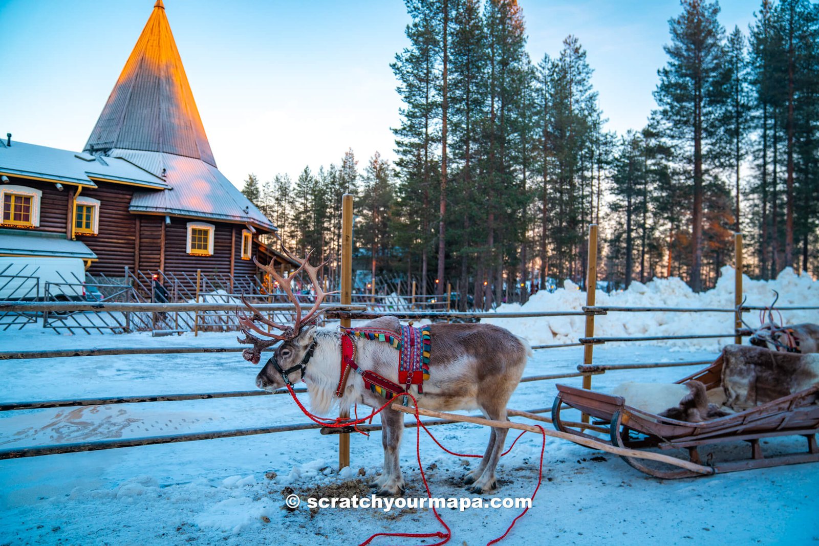 reindeer sleigh ride, things to do in Santa Claus Village in Finland