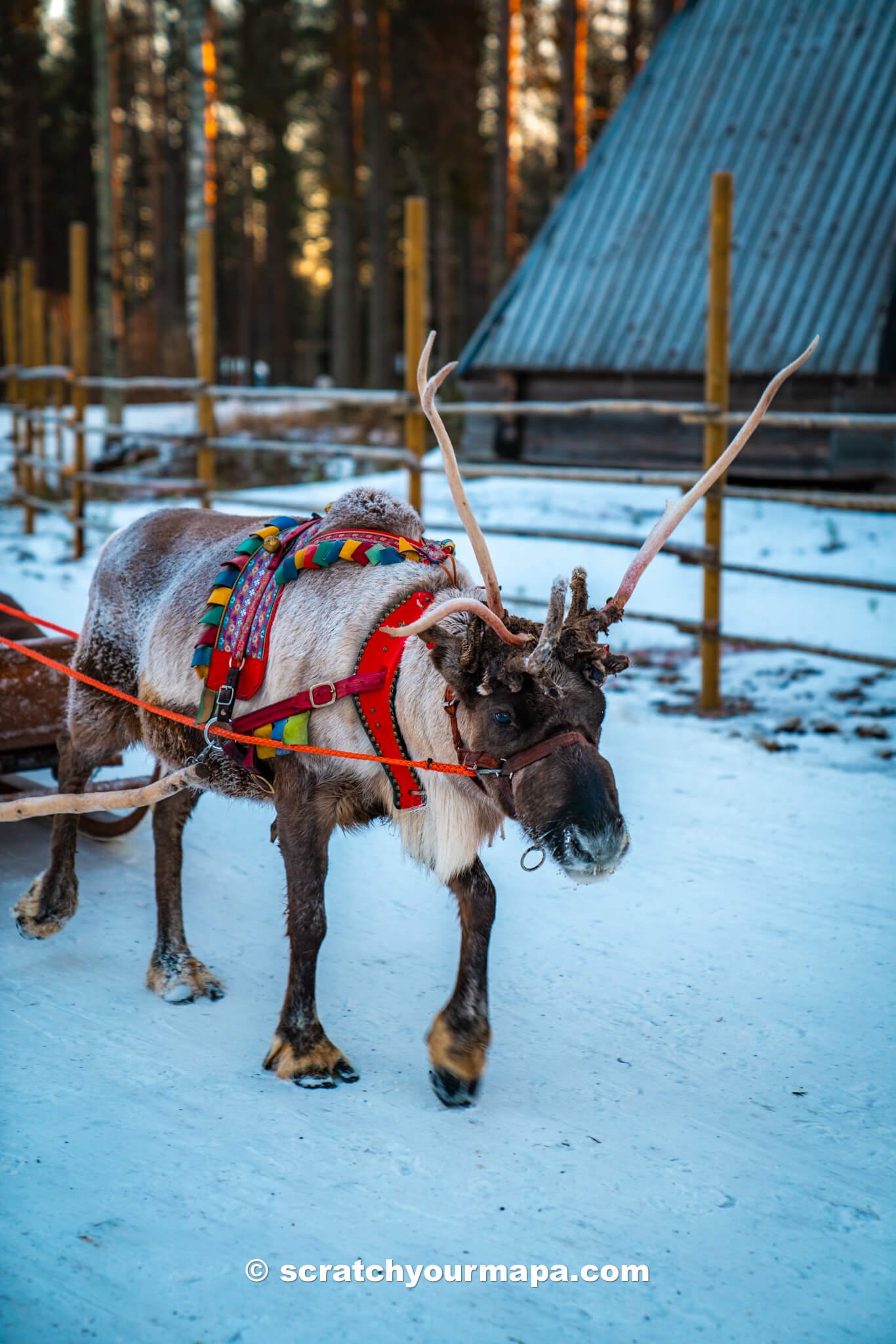 when is the best time to visit Santa Claus Village in Finland? 