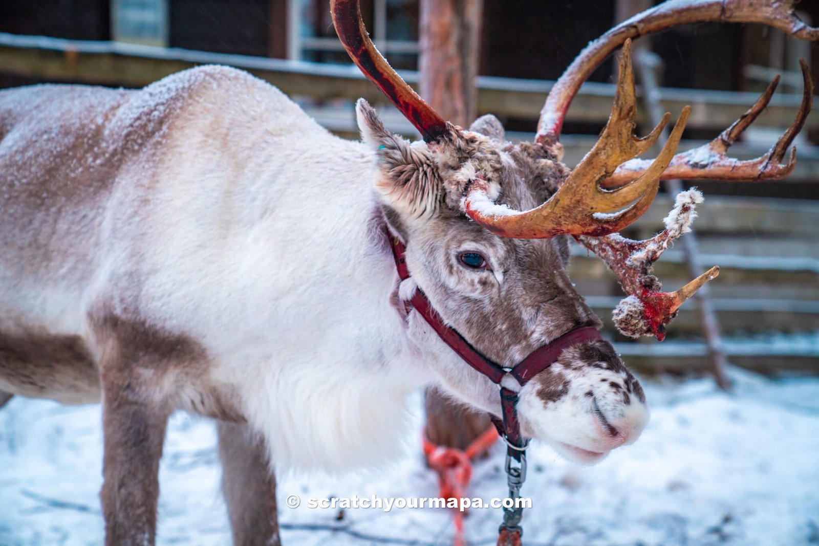 Santa Claus Village in Finland travel guide