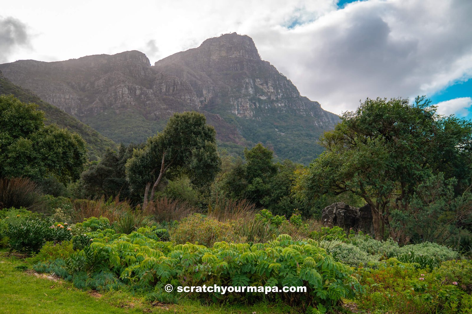 Kirstenbosch Botanical Gardens, best things to do in Cape Town, South Africa