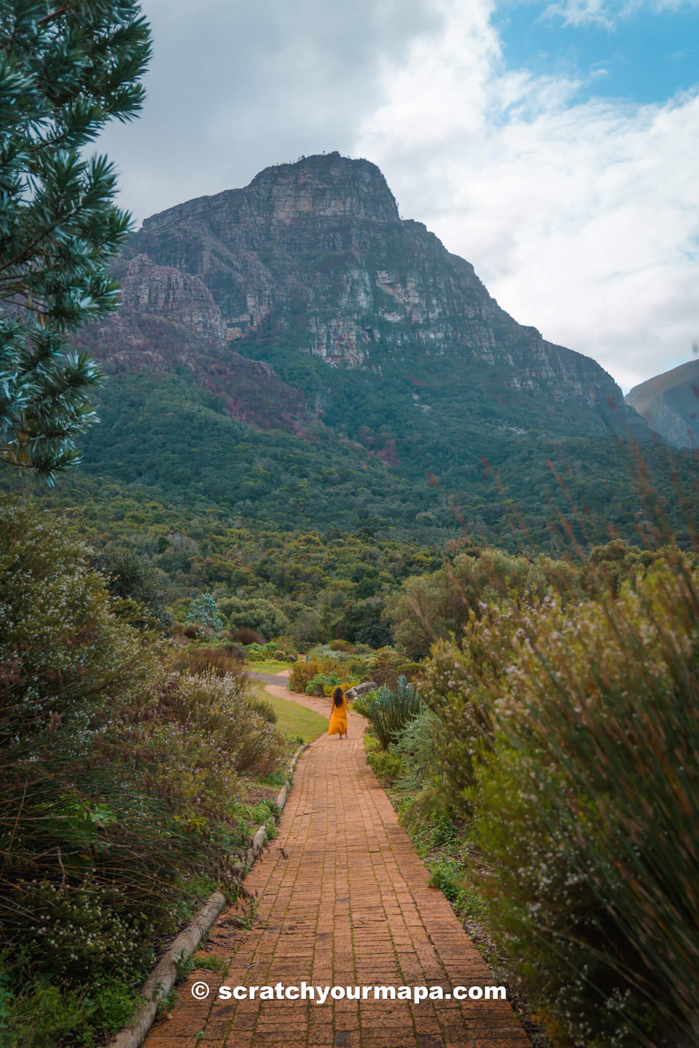 Kirstenbosch Botanical Gardens, best things to do in Cape Town, South Africa