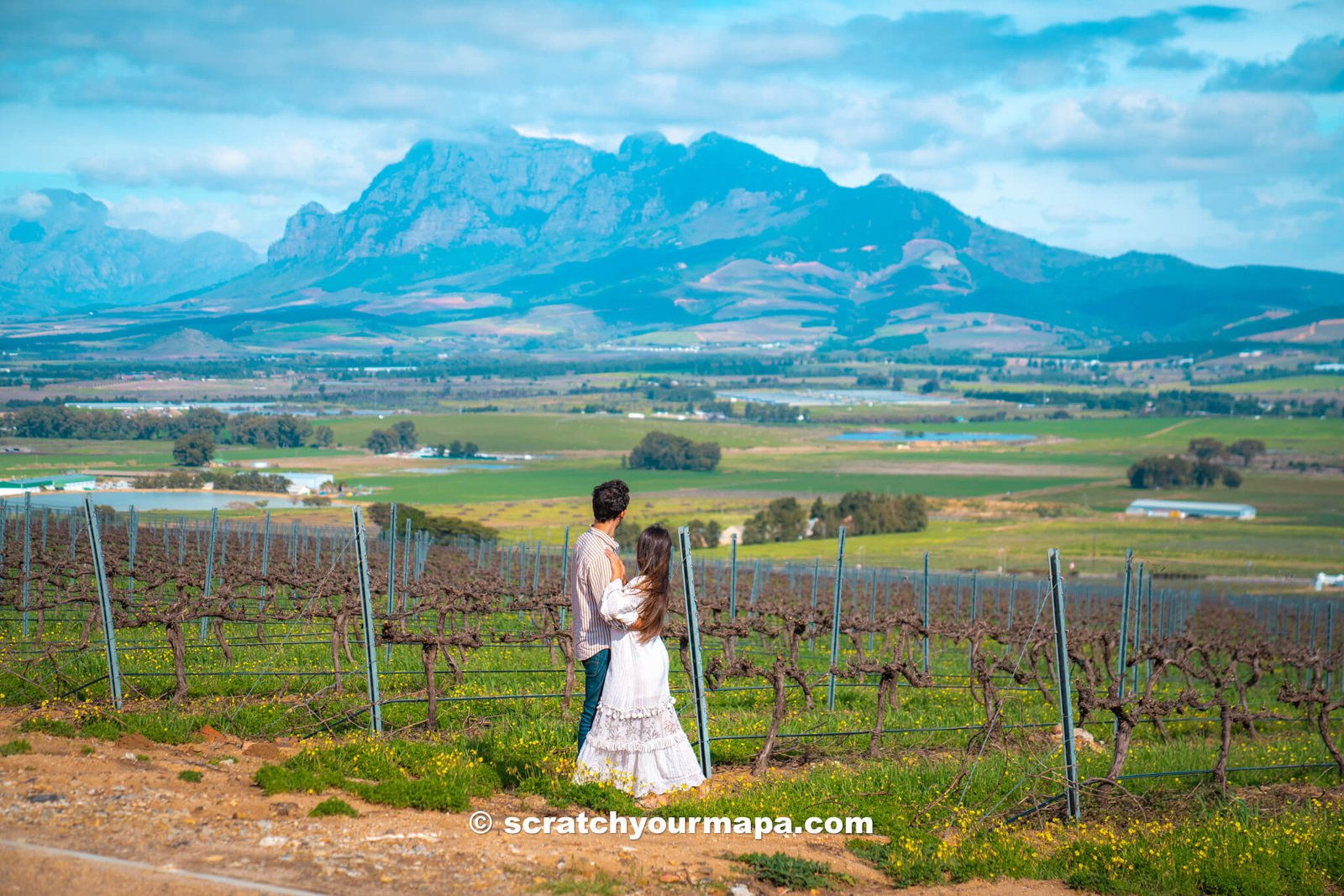 Cape Town wineries, best things to do in Cape Town