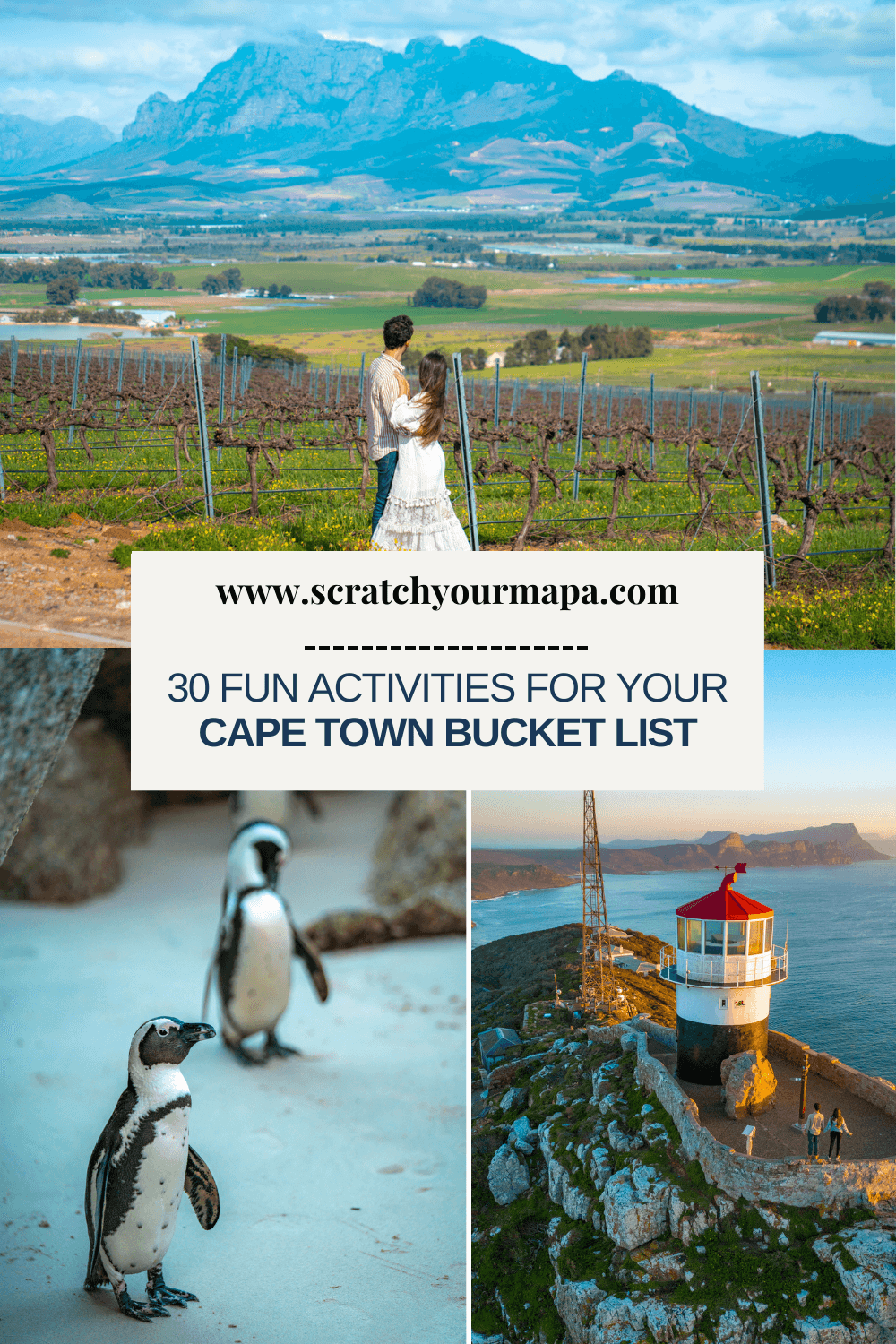 The best things to do in Cape Town, South Africa