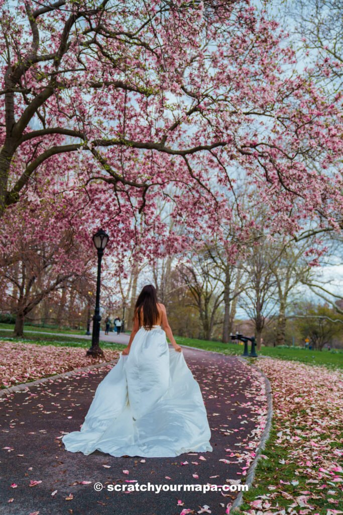 cherry blossom flying dress photoshoot - best things to do in NYC in spring