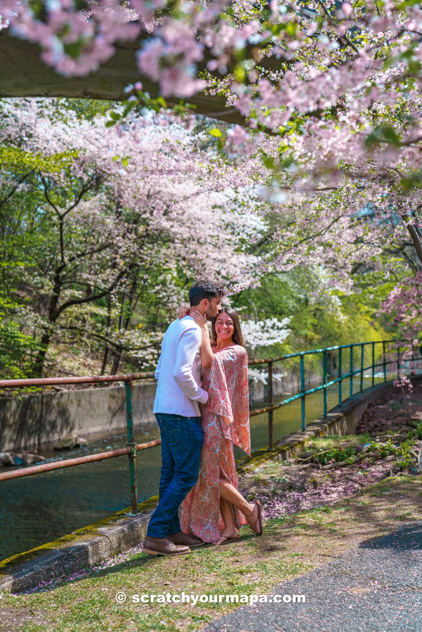 events at the Branch Brook Park Cherry Blossom Festival in Newark, New Jersey