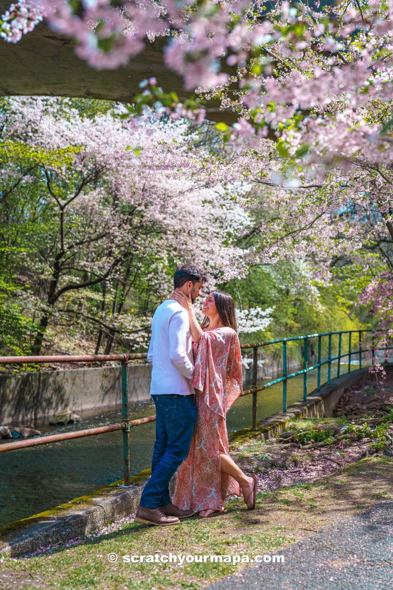 when to visit Branch Brook Park in Newark, New Jersey - cherry blossom season