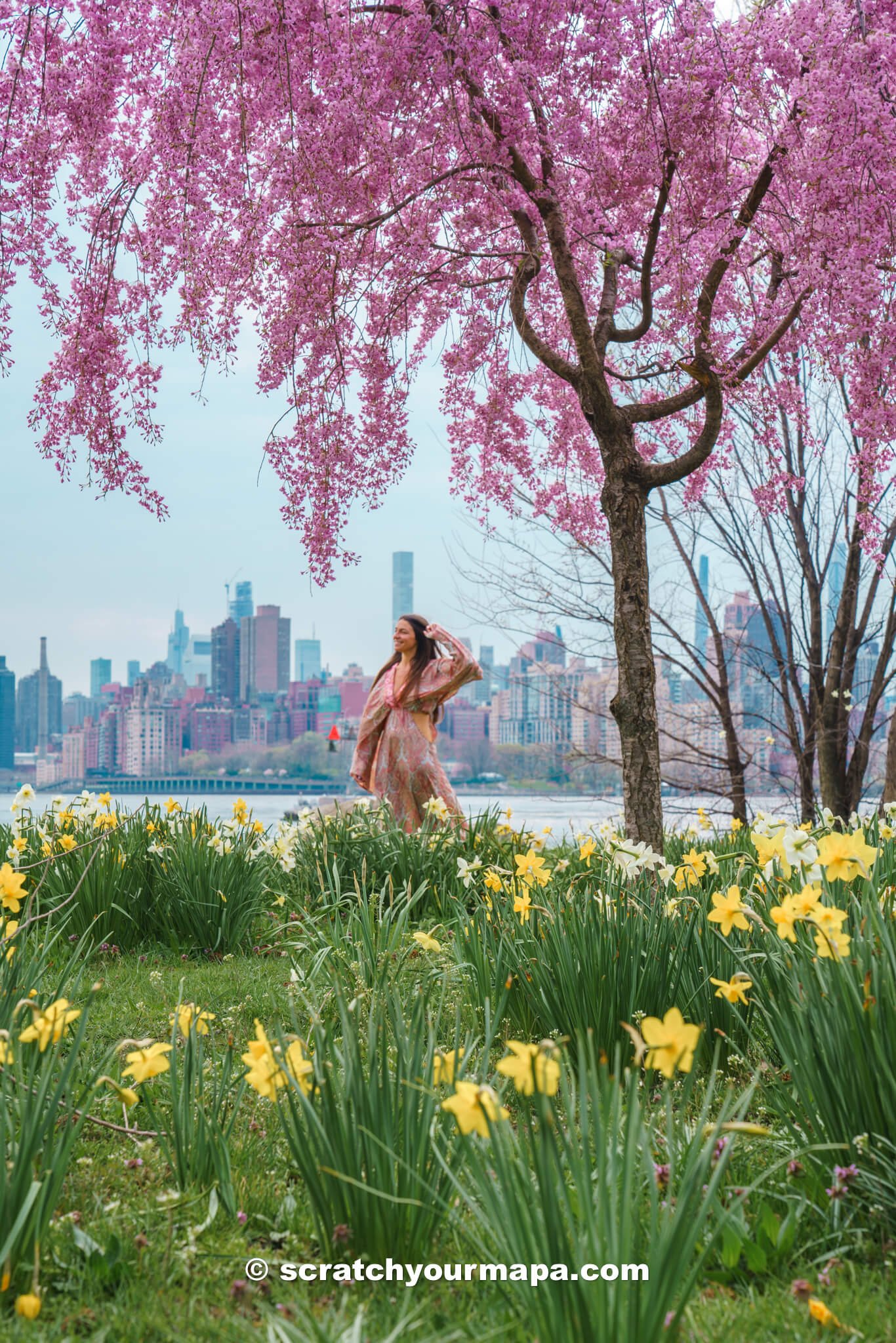 best places to see cherry blossoms in NYC