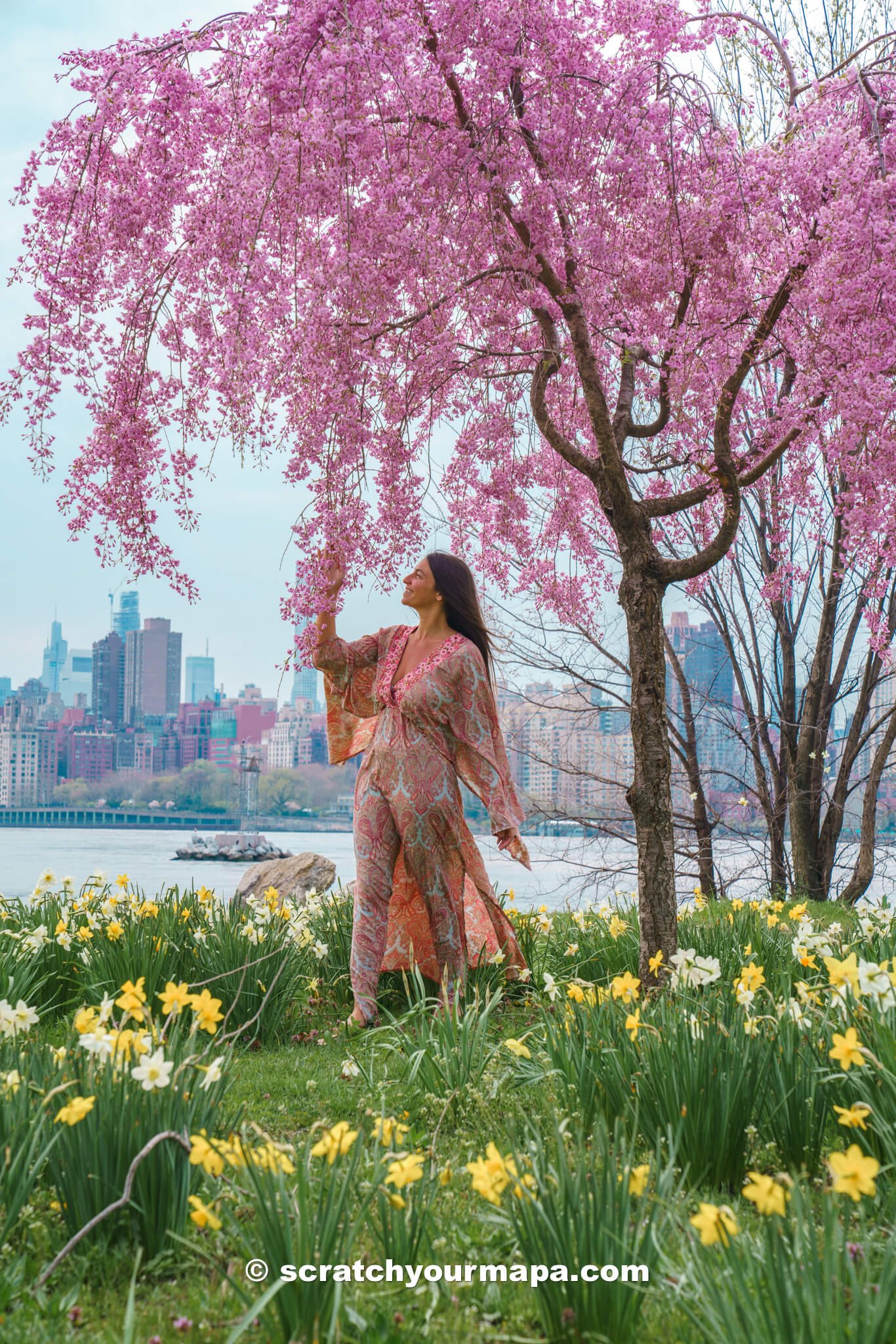 Randall's Island, the best places to see cherry blossoms in NYC