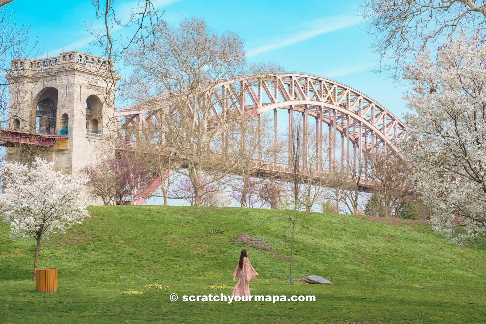 Randall's Island, the best places to see cherry blossoms in NYC