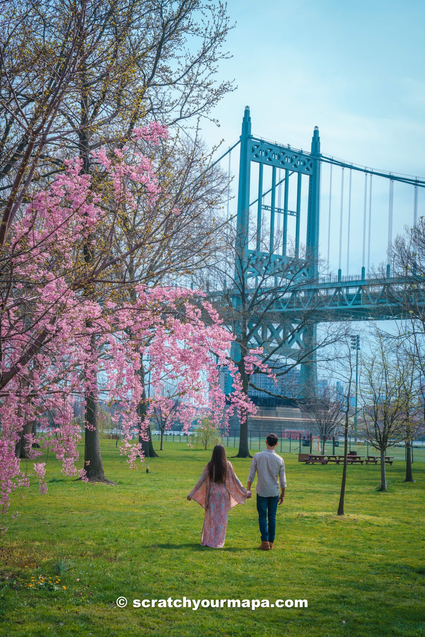 Randall's Island, the best places to see cherry blossoms in NYC