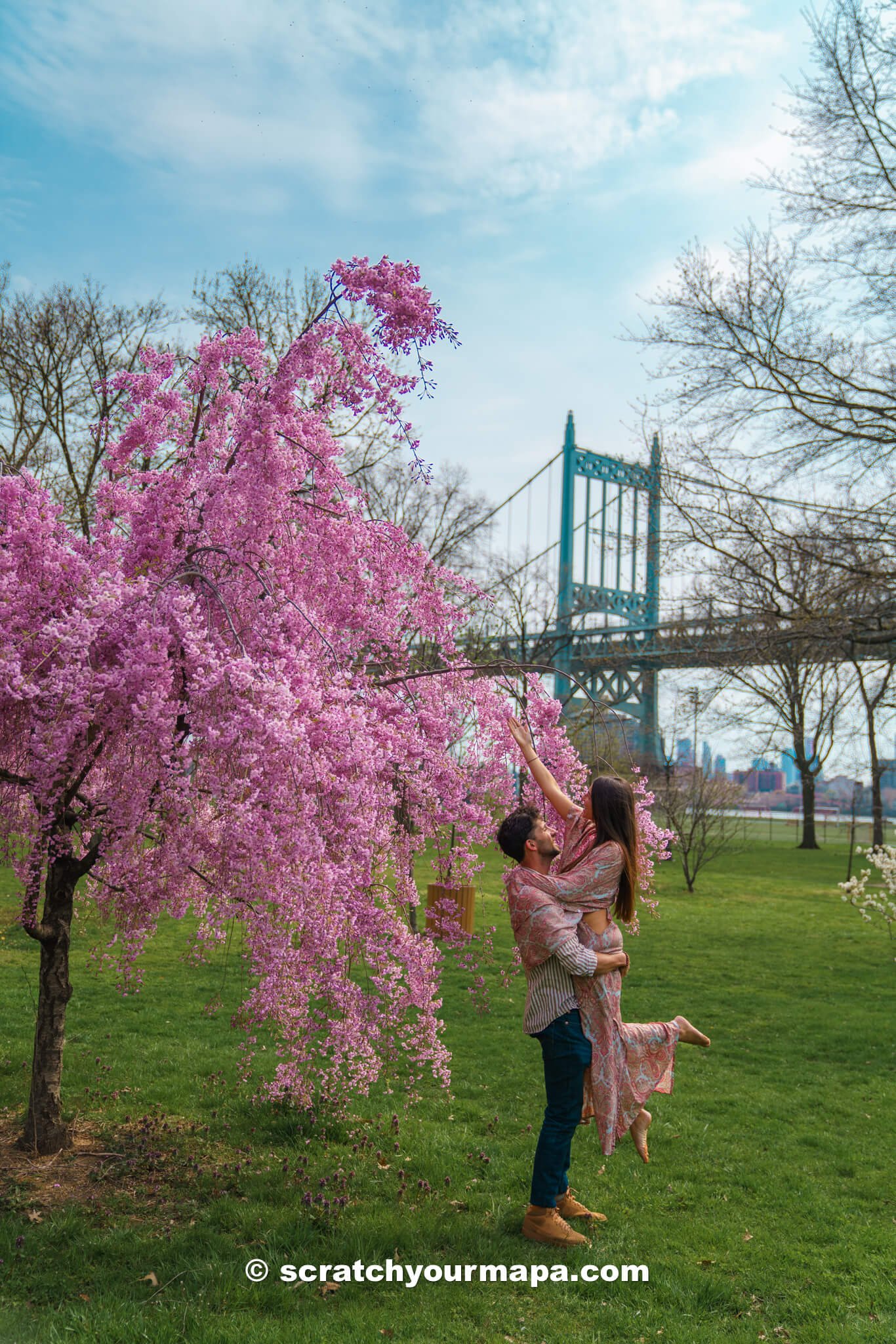 Randall's Island, the best places to see cherry blossoms in NYC