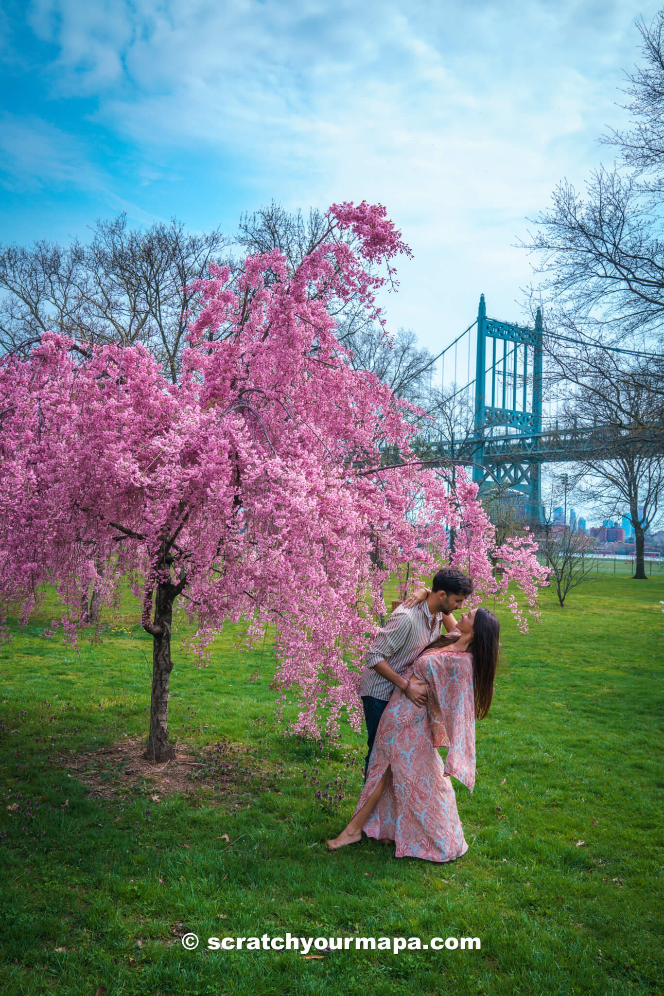 best places to see cherry blossoms in NYC