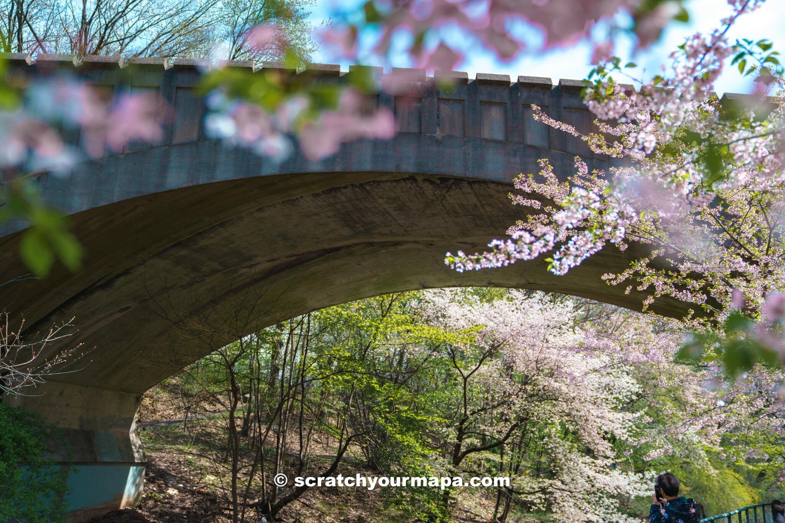 when to visit Branch Brook Park in Newark, New Jersey - cherry blossom season