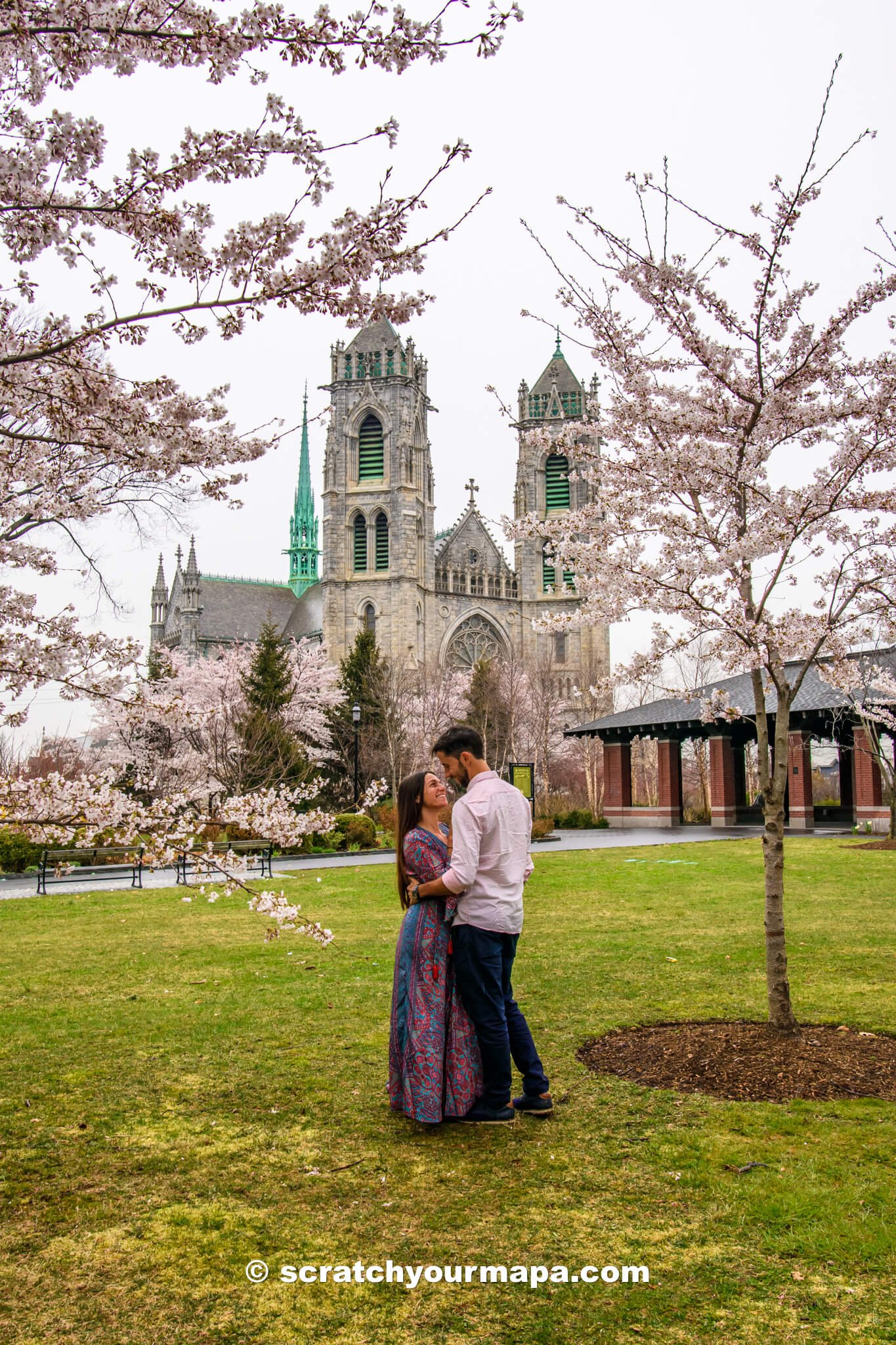 Branch Brook Park, best places to see cherry blossoms in NYC & NJ