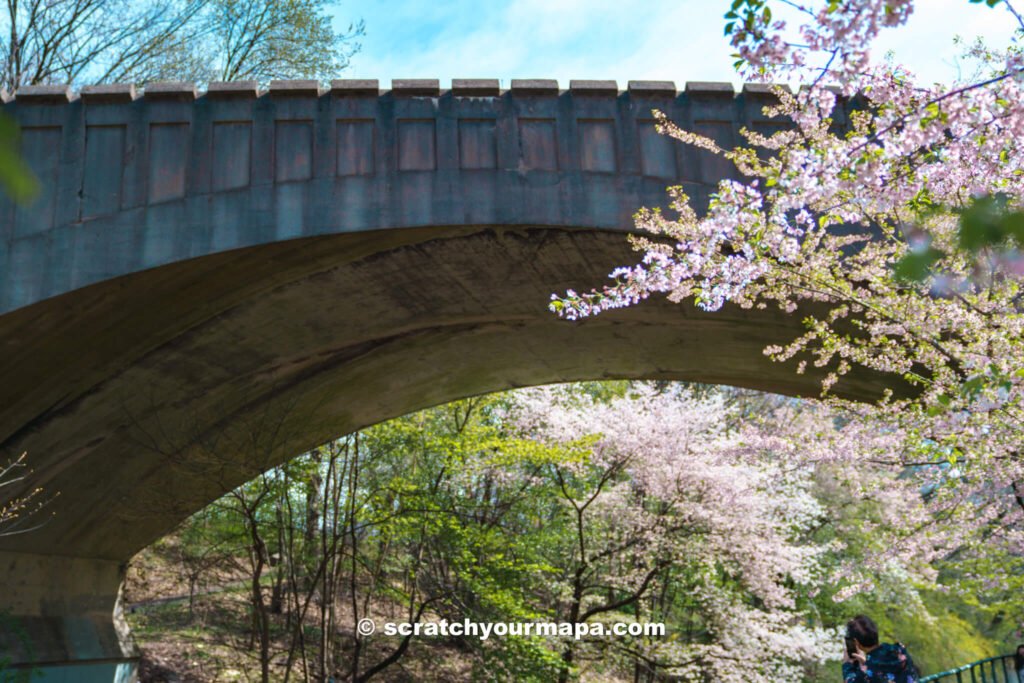 Branch Brook Park day trip - things to do in NYC in Spring