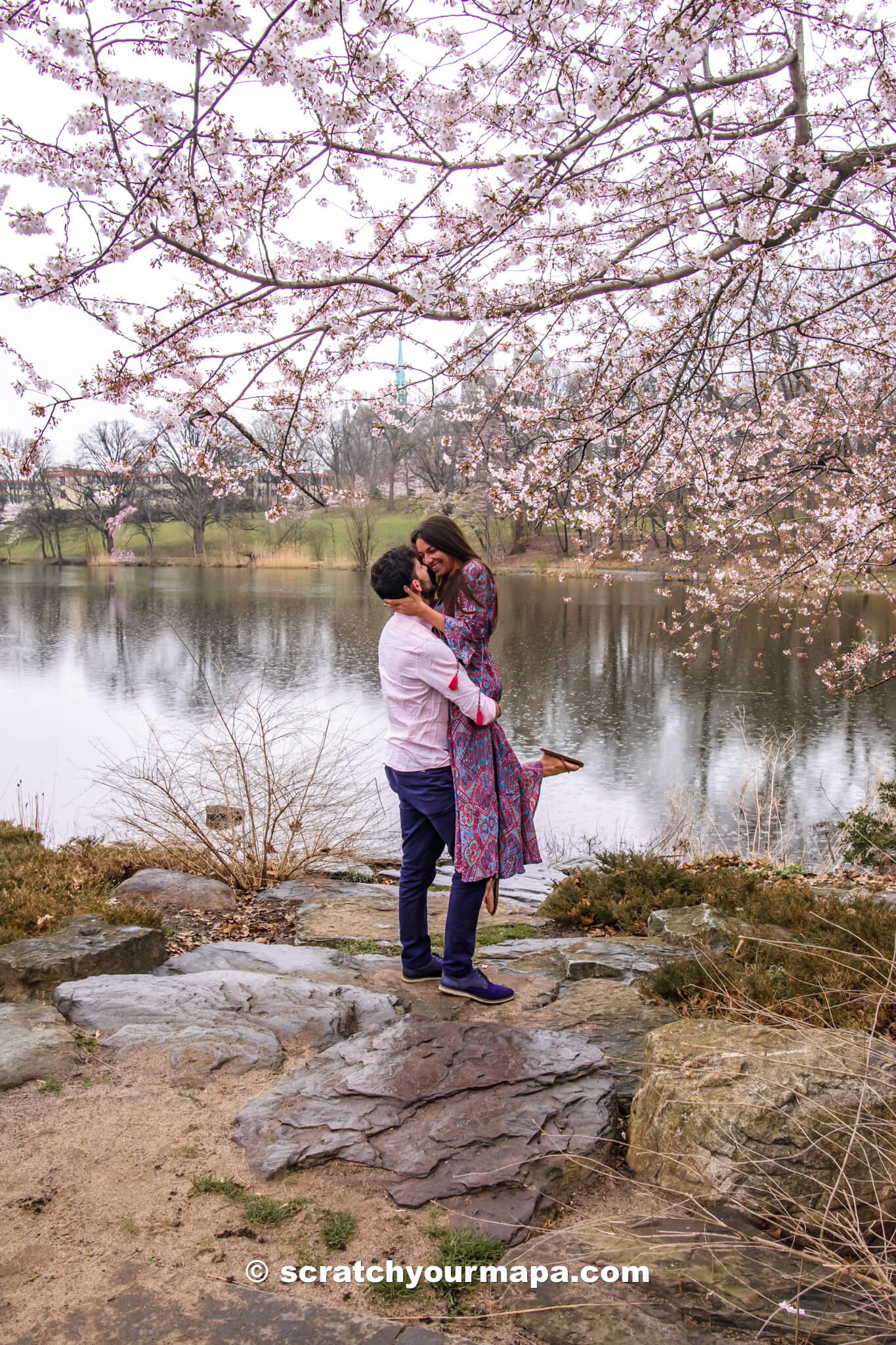 events at the Branch Brook Park Cherry Blossom Festival in Newark, New Jersey