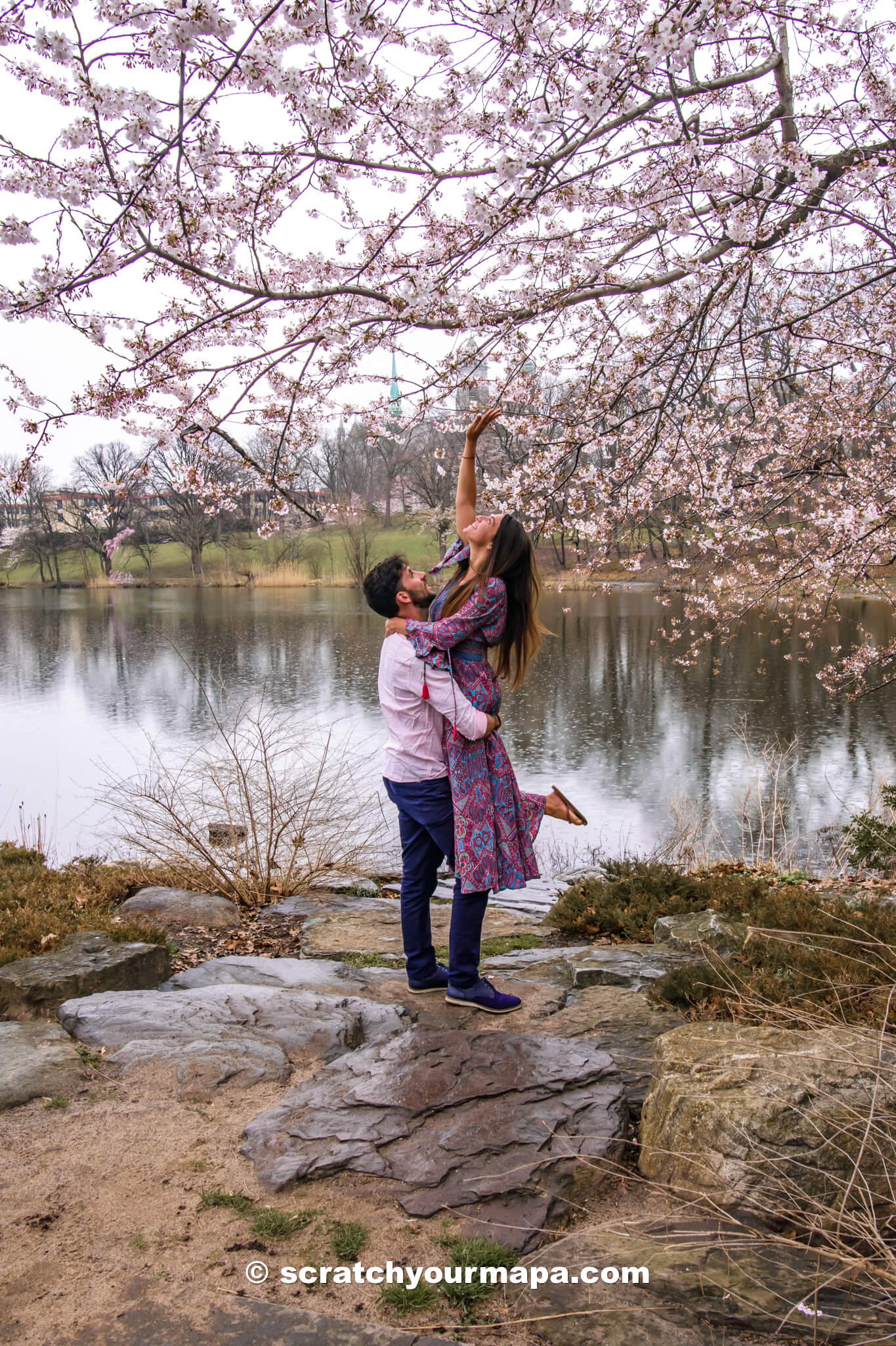 do not touch the cherry blossoms at Branch Brook Park!