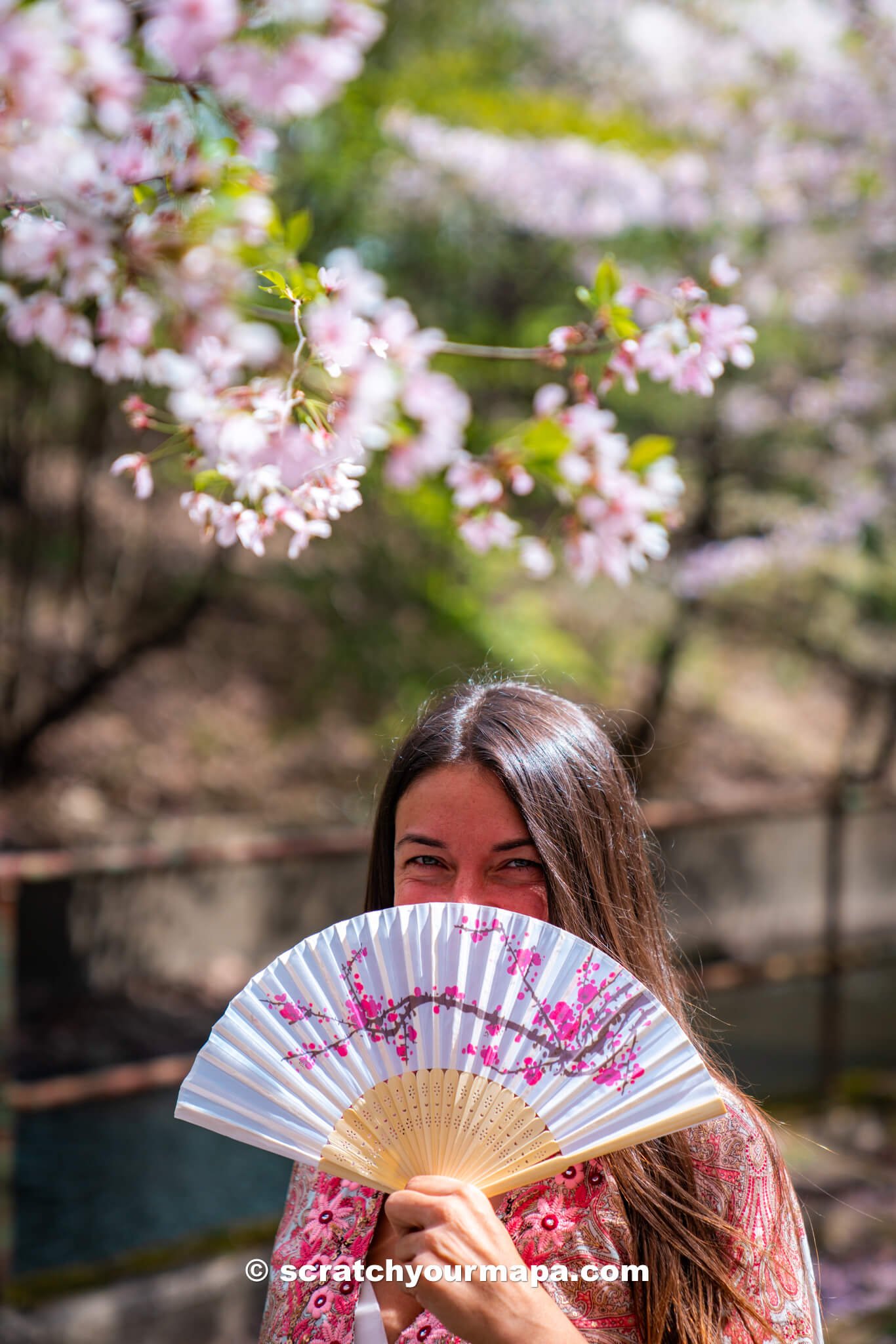 Is the Branch Brook Park Cherry Blossom Festival in Newark worth it?