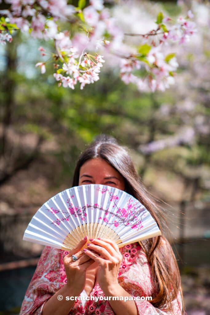 cherry blossoms in NJ - local events