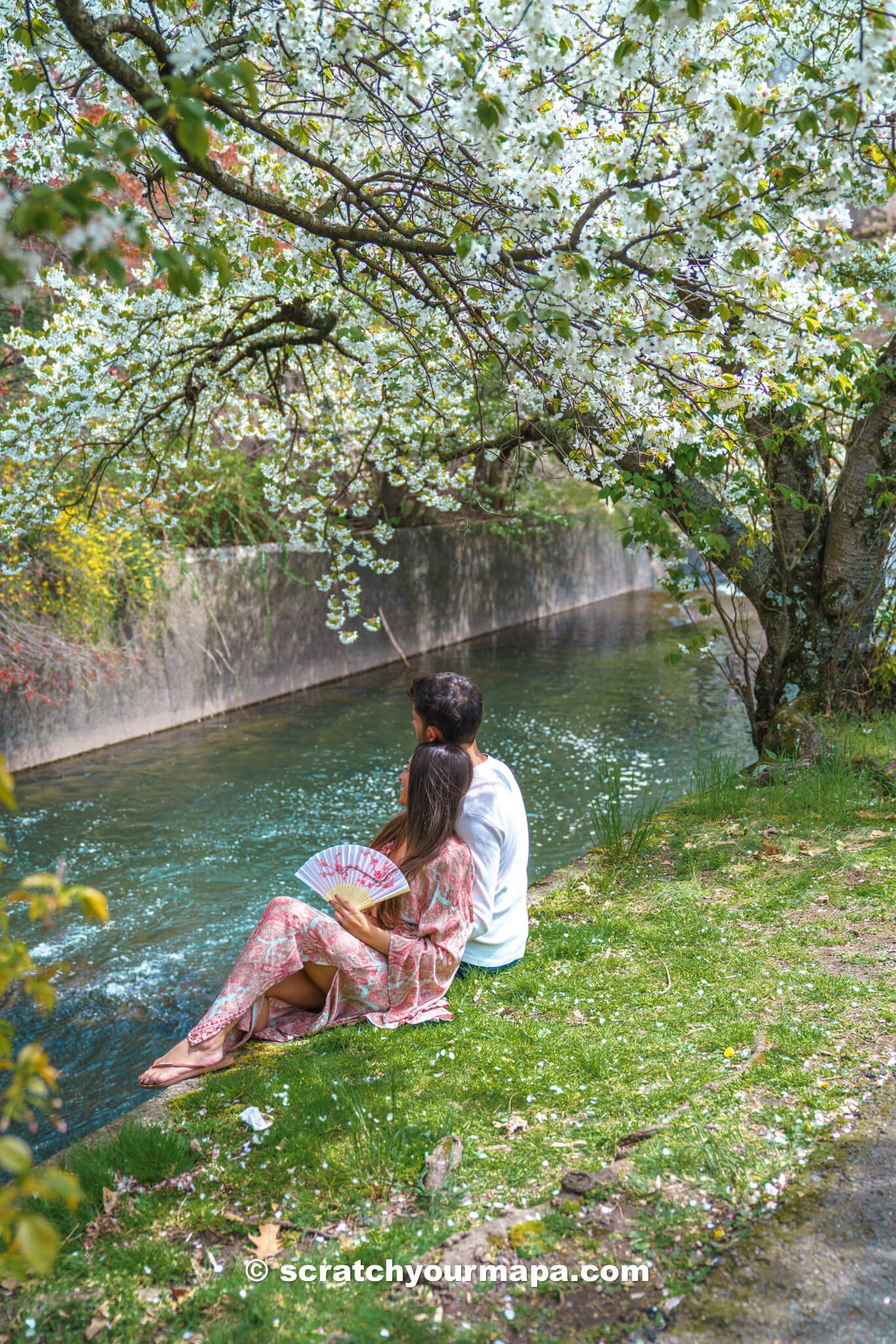 Is the Branch Brook Park Cherry Blossom Festival in Newark worth it?