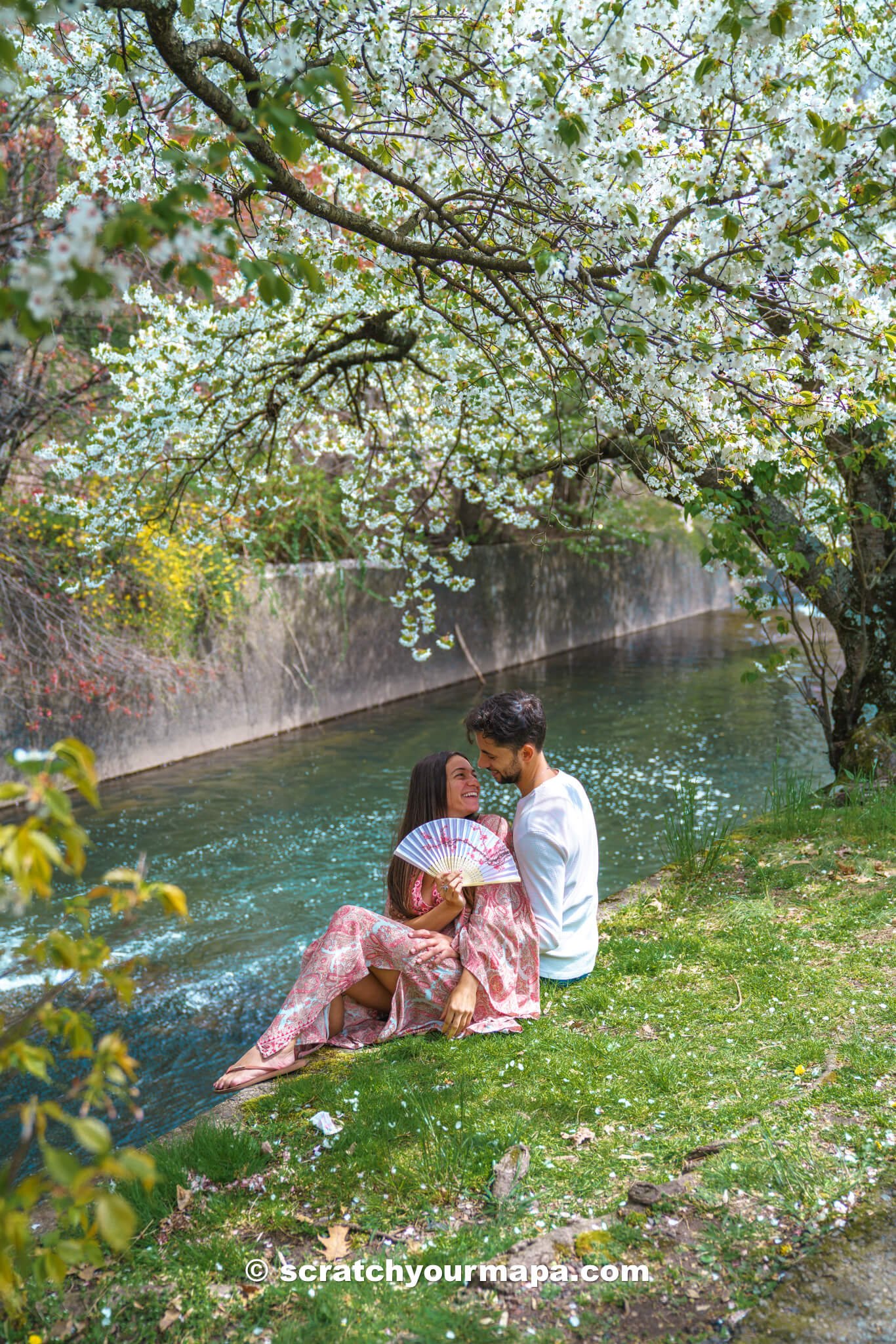 events at the Branch Brook Park Cherry Blossom Festival in Newark, New Jersey