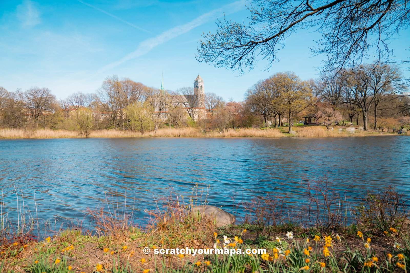 lake at Branch Brook Park Cherry Blossom Festival in Newark, New Jersey