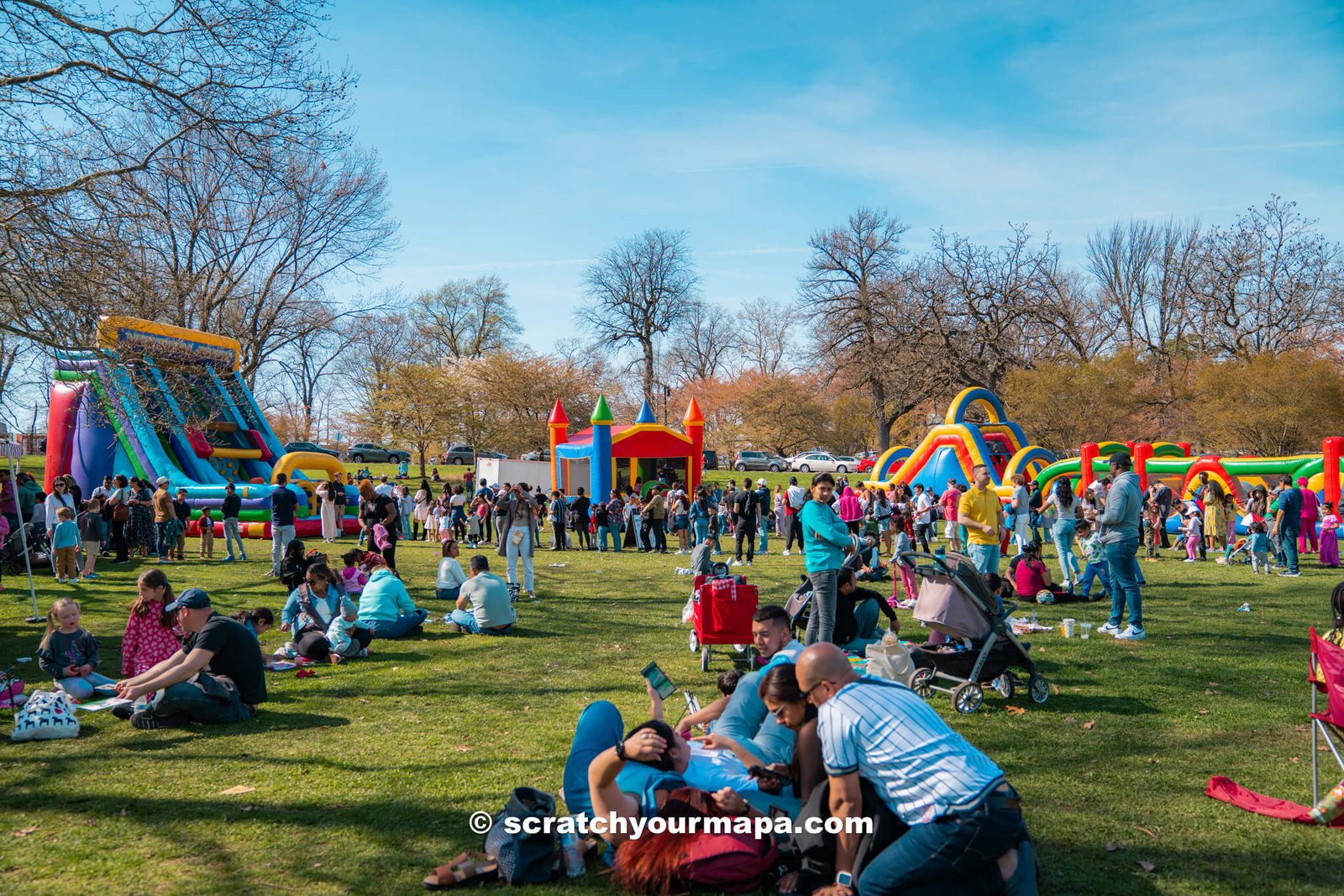 main lawn of events at the Branch Brook Park Cherry Blossom Festival in Newark, New Jersey