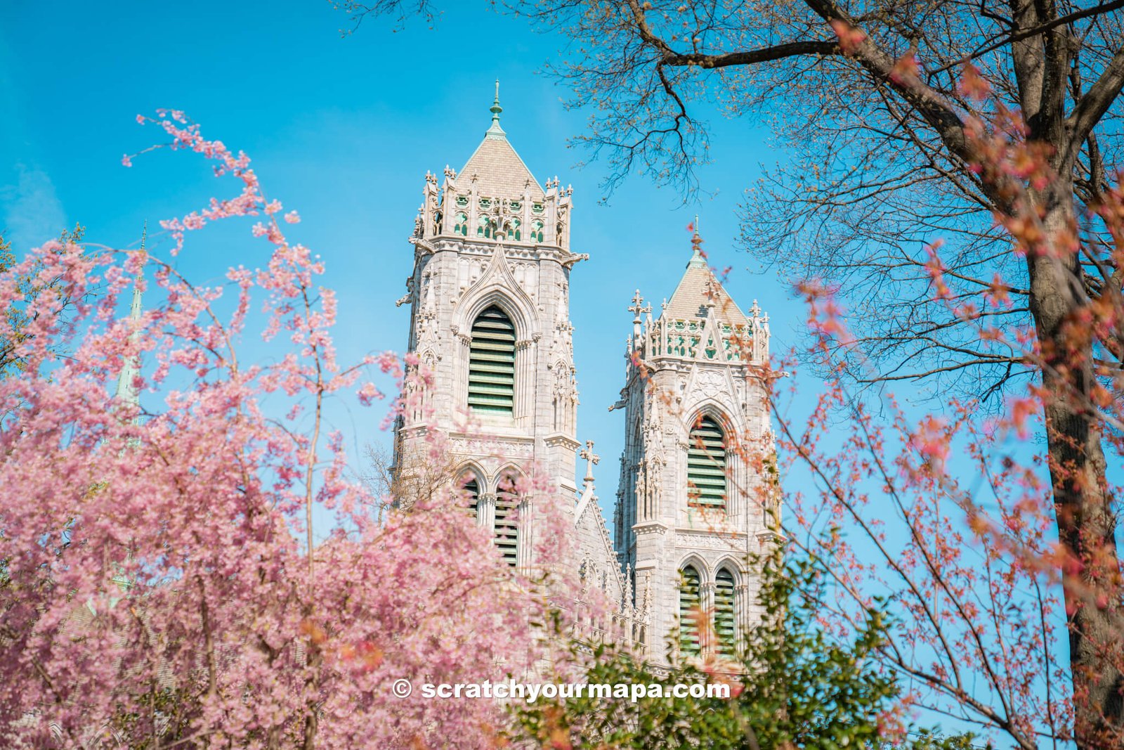 Branch Brook Park, best places to see cherry blossoms in NYC & NJ