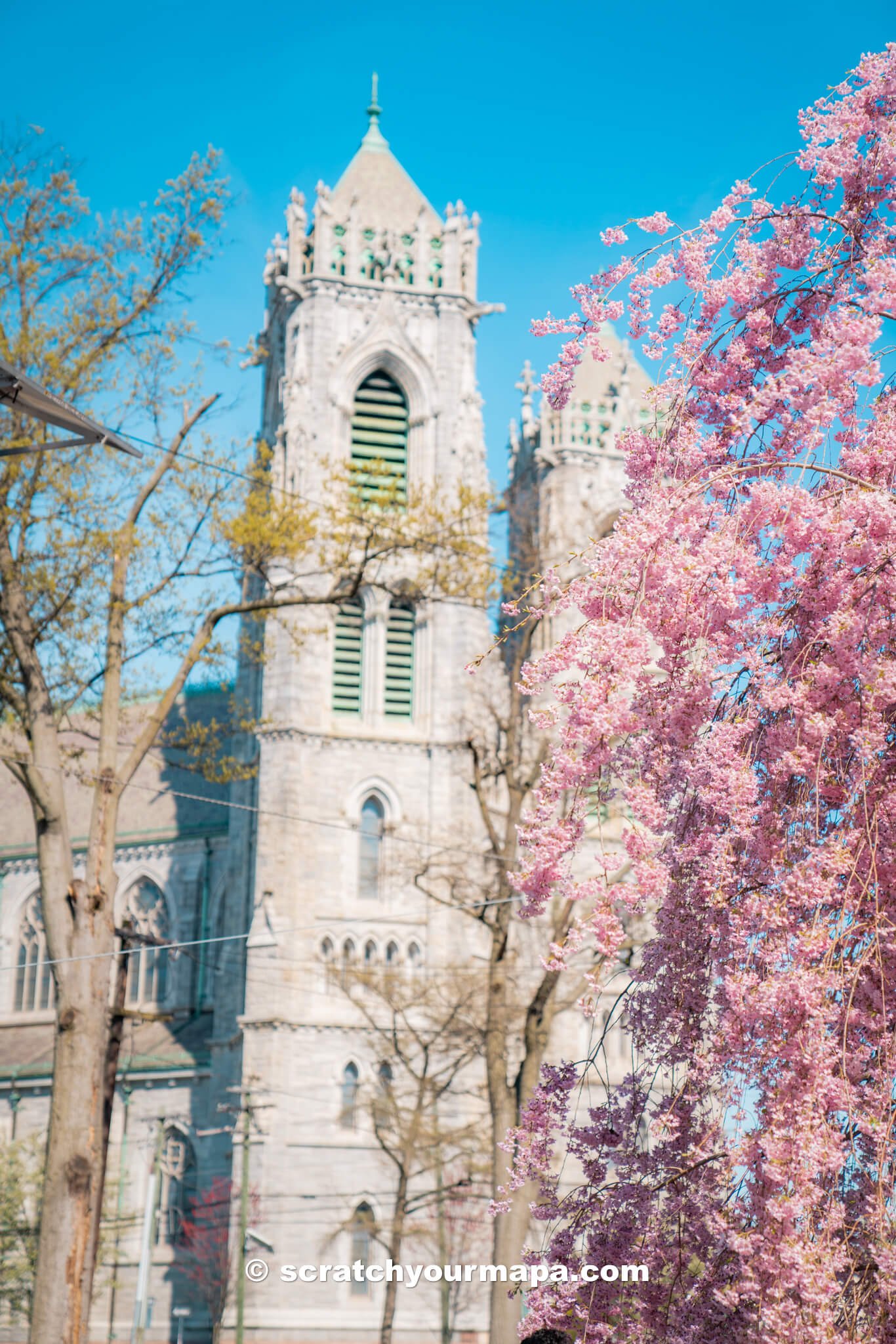 Sacred Heart Church in Newark, New Jersey next to Branch Brook Park