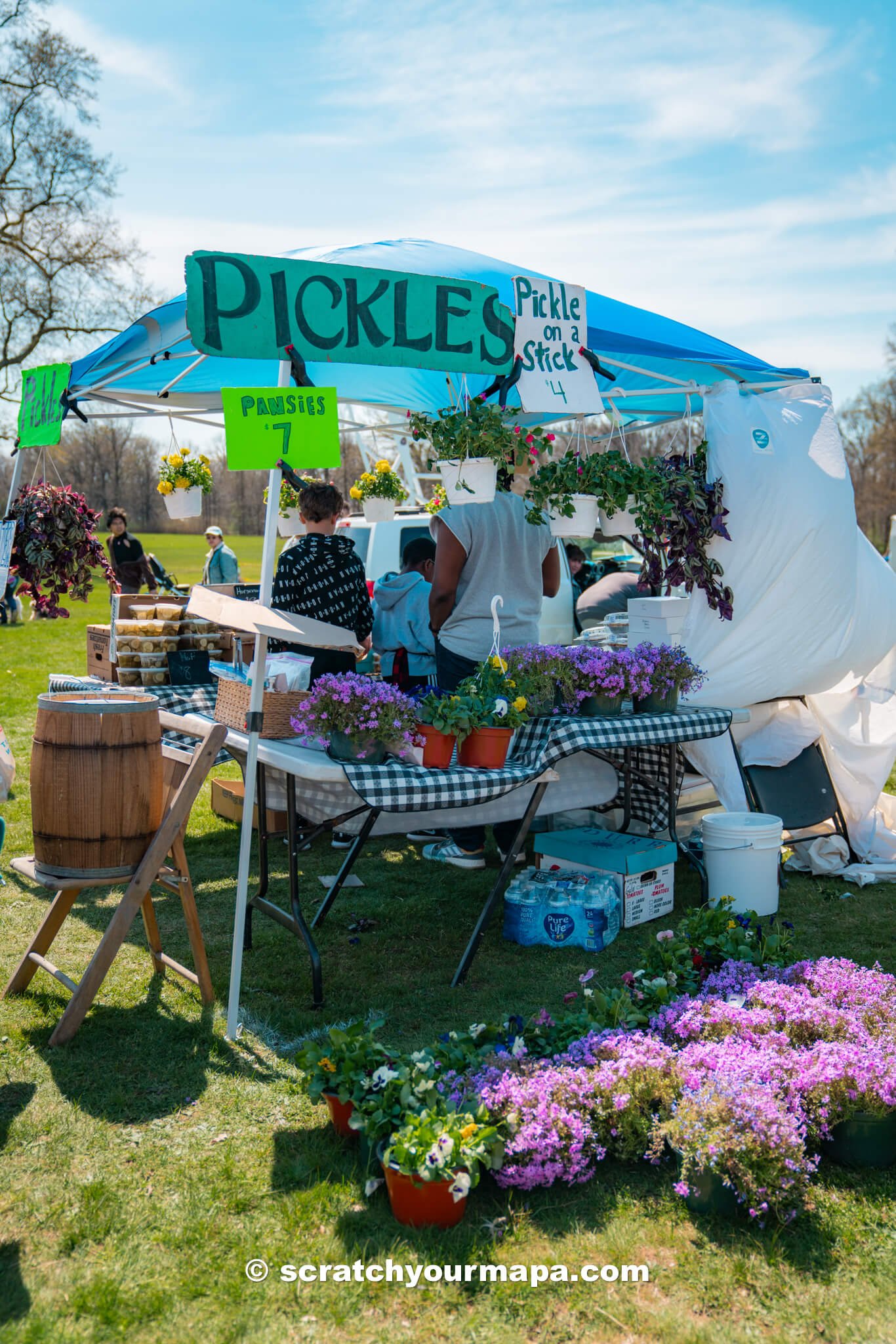 events at the Branch Brook Park Cherry Blossom Festival in Newark, New Jersey