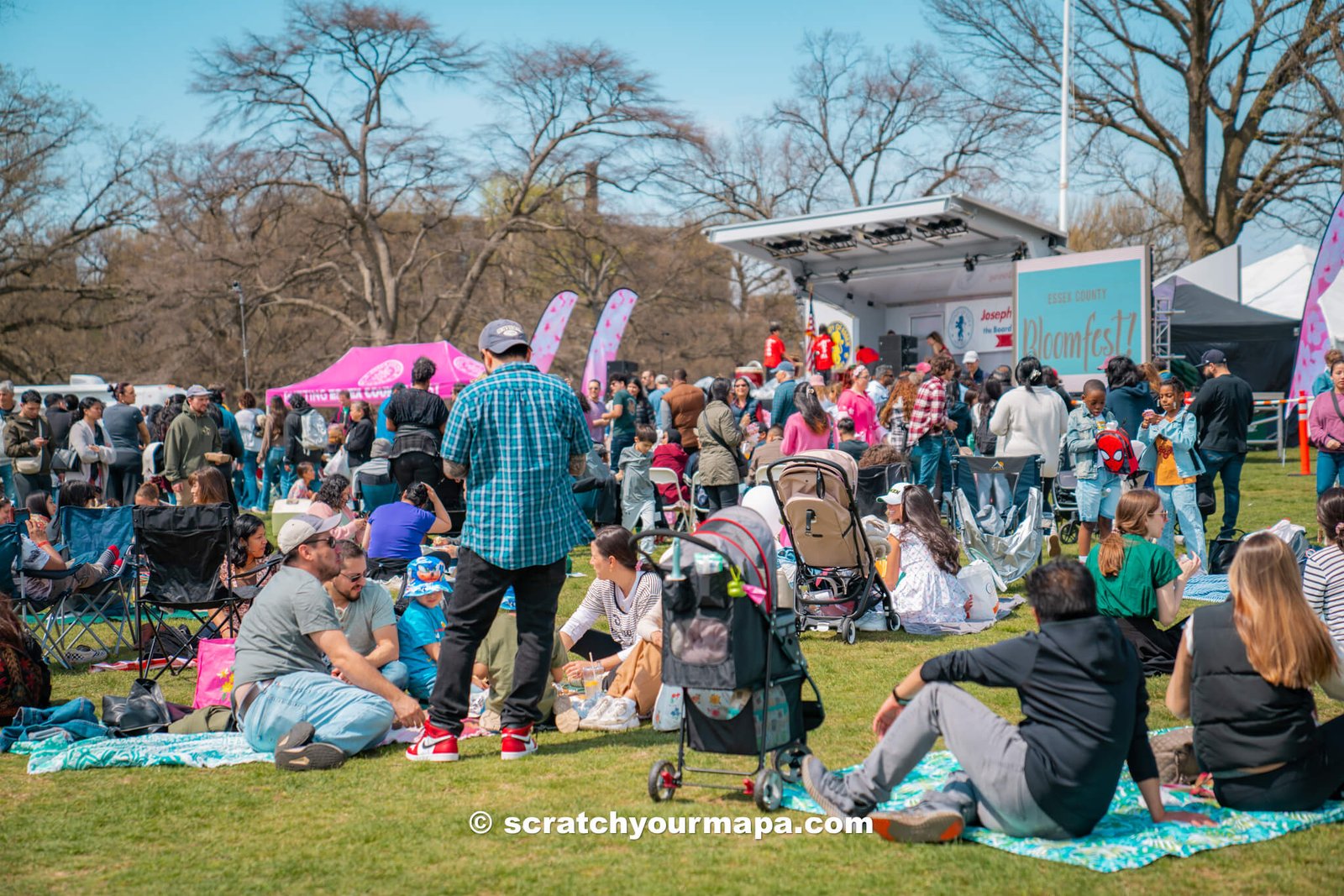 food trucks at the Branch Brook Park Cherry Blossom Festival in Newark, New Jersey