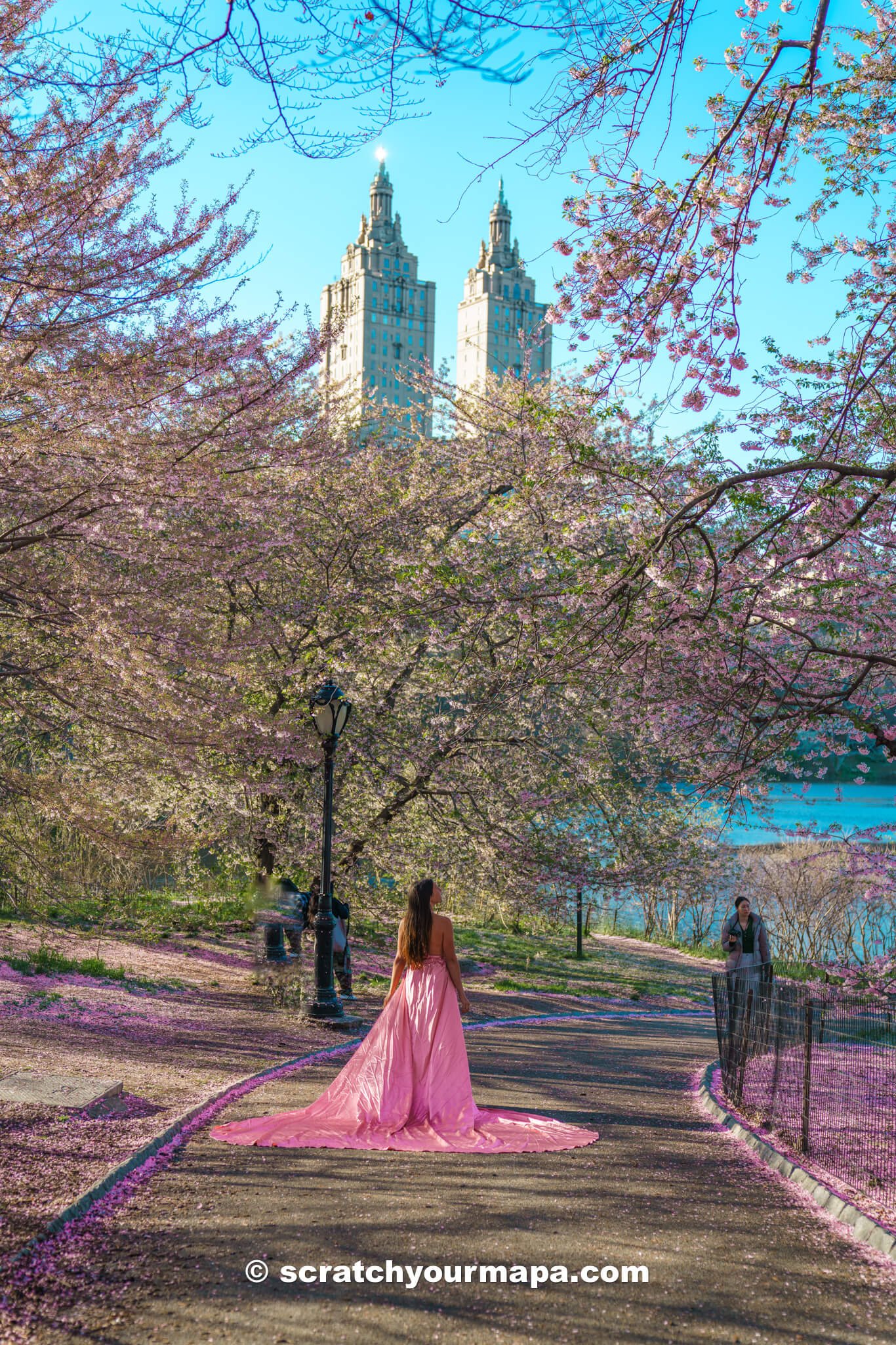  Bridle path, best places to see cherry blossoms in NYC