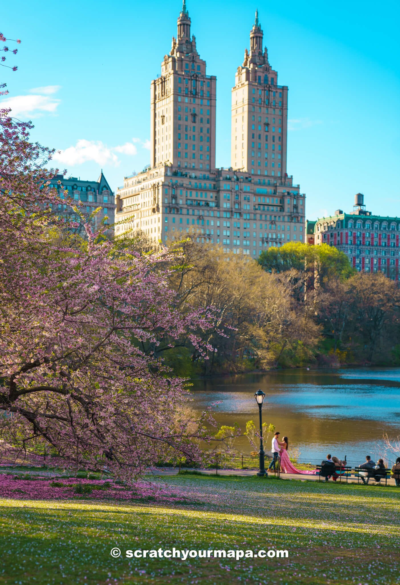  Bridle path, best places to see cherry blossoms in NYC