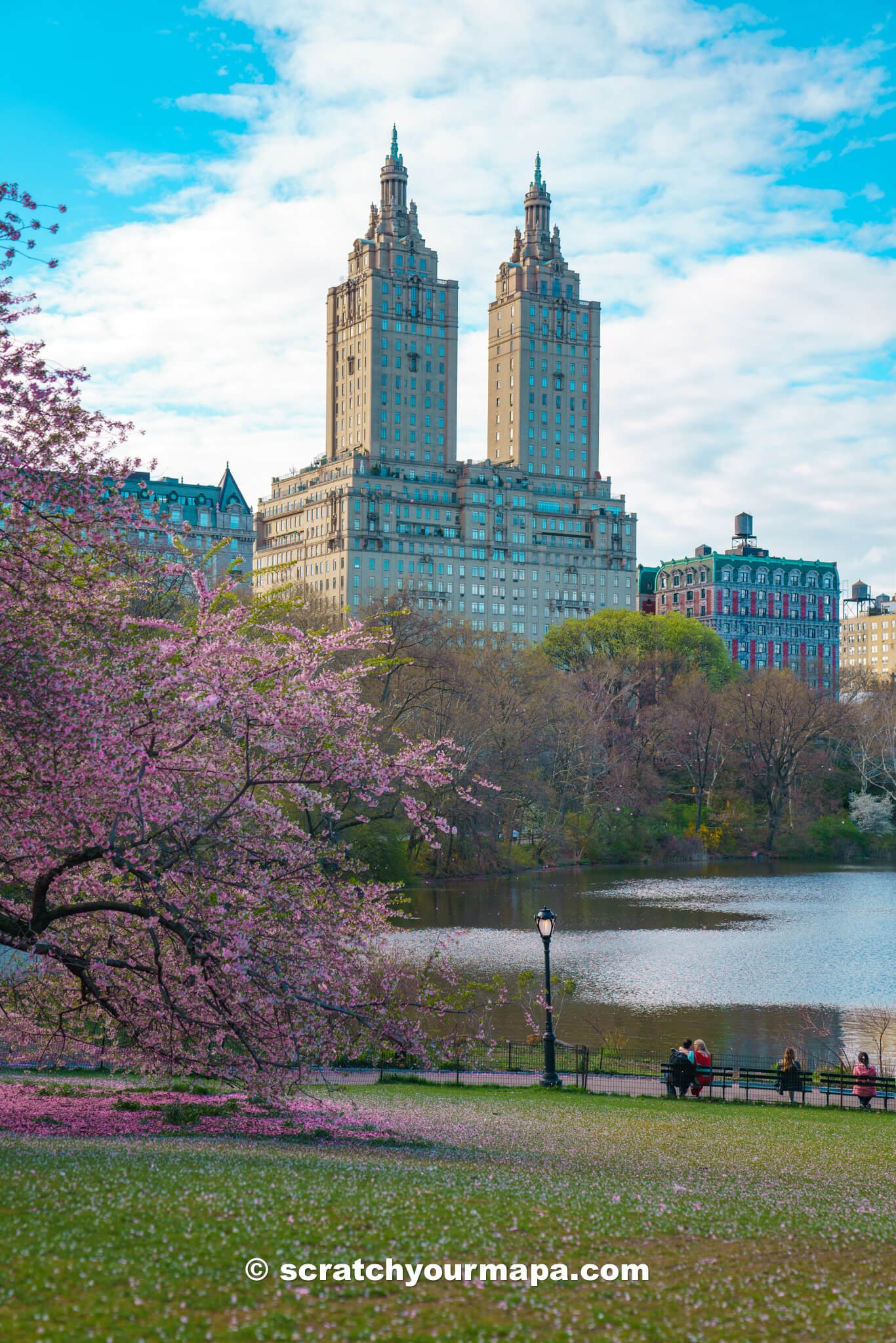 Central Park, best places to see cherry blossoms in NYC