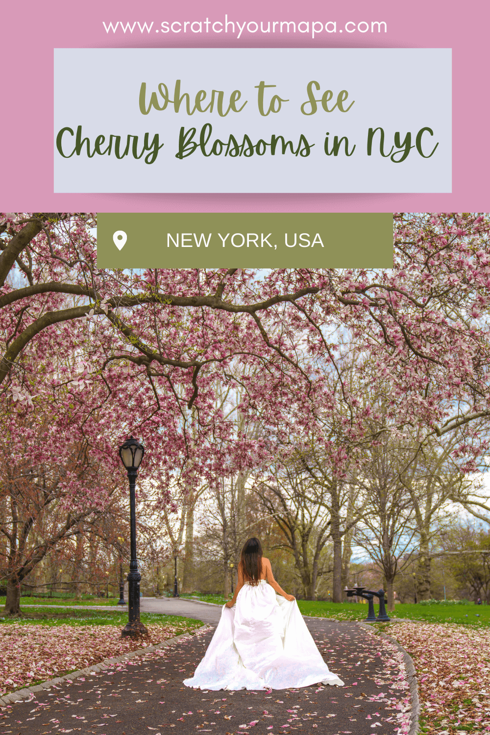 best places to see cherry blossoms in NYC