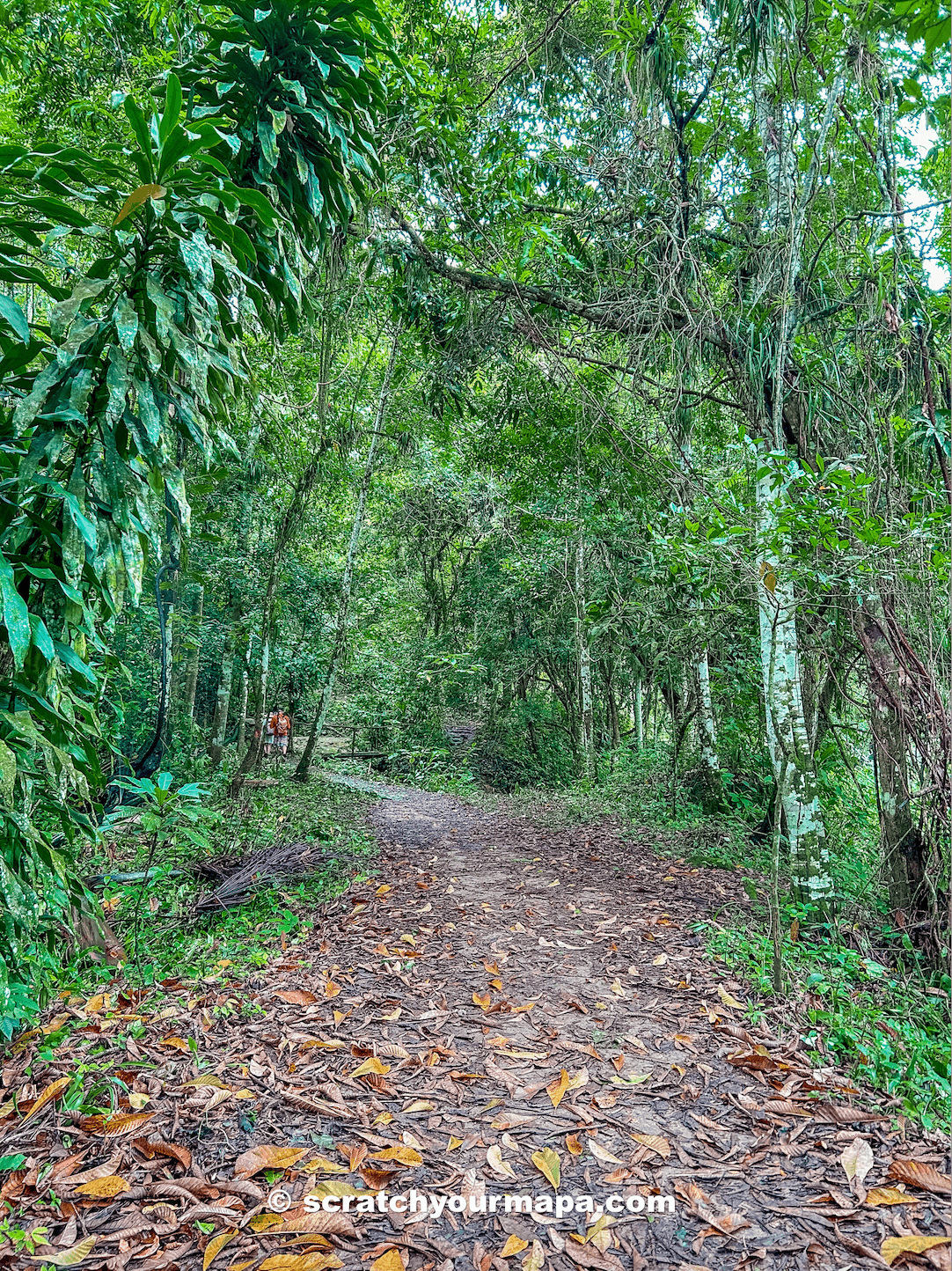 hike to El Nicho Waterfall, Cuba