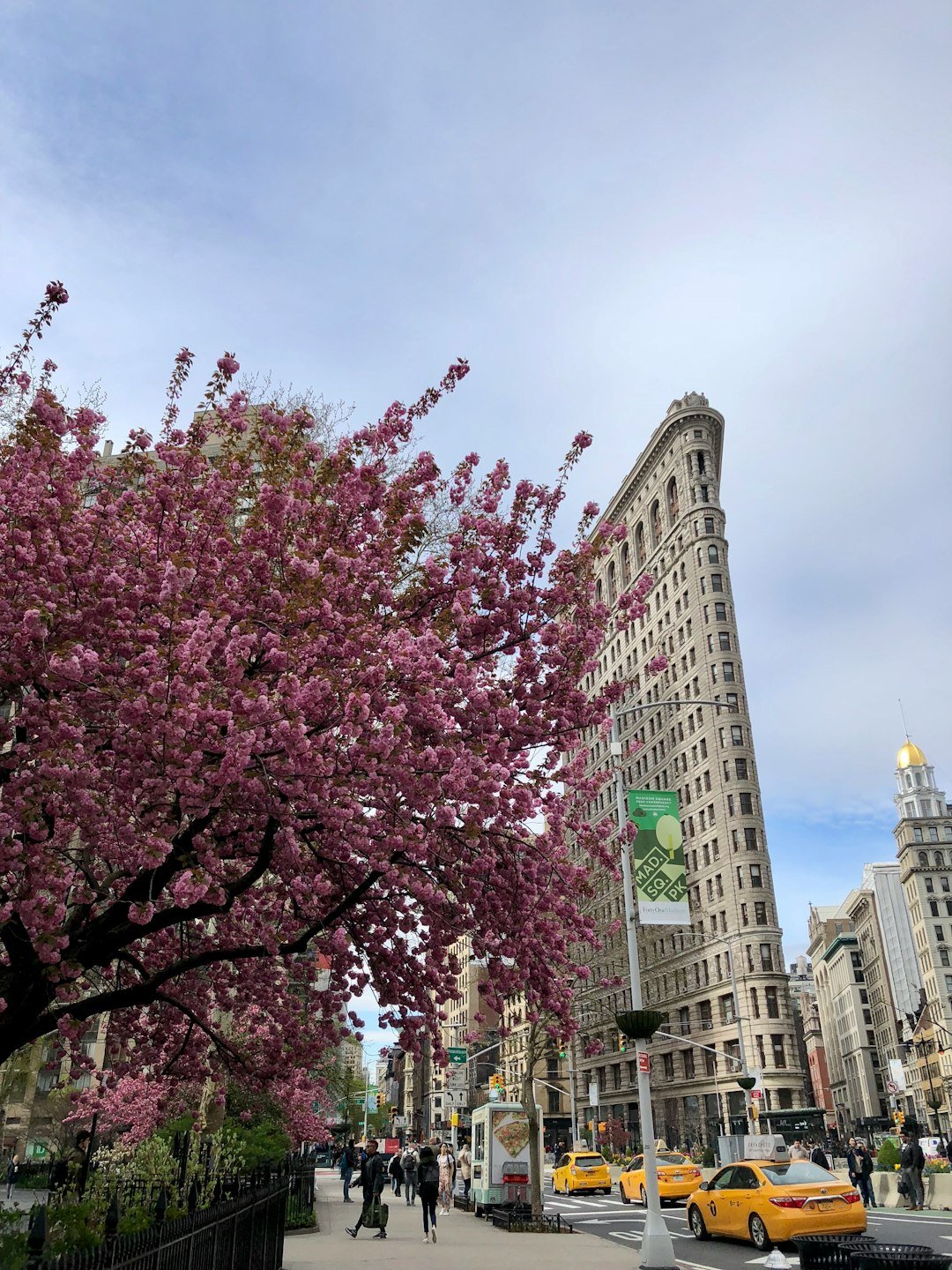 a city street with pink trees